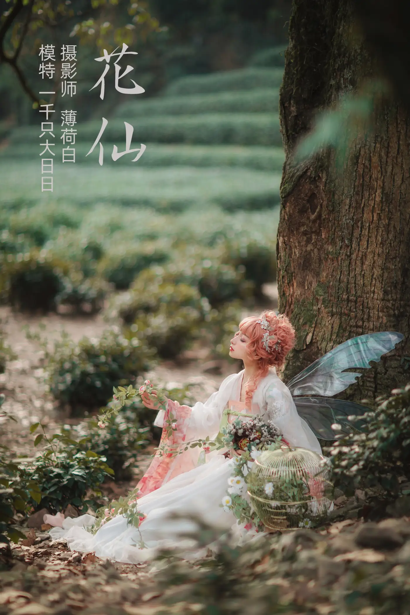 [艺图语] 2021.11.04 Vol.417 – 花仙 一千只大日日