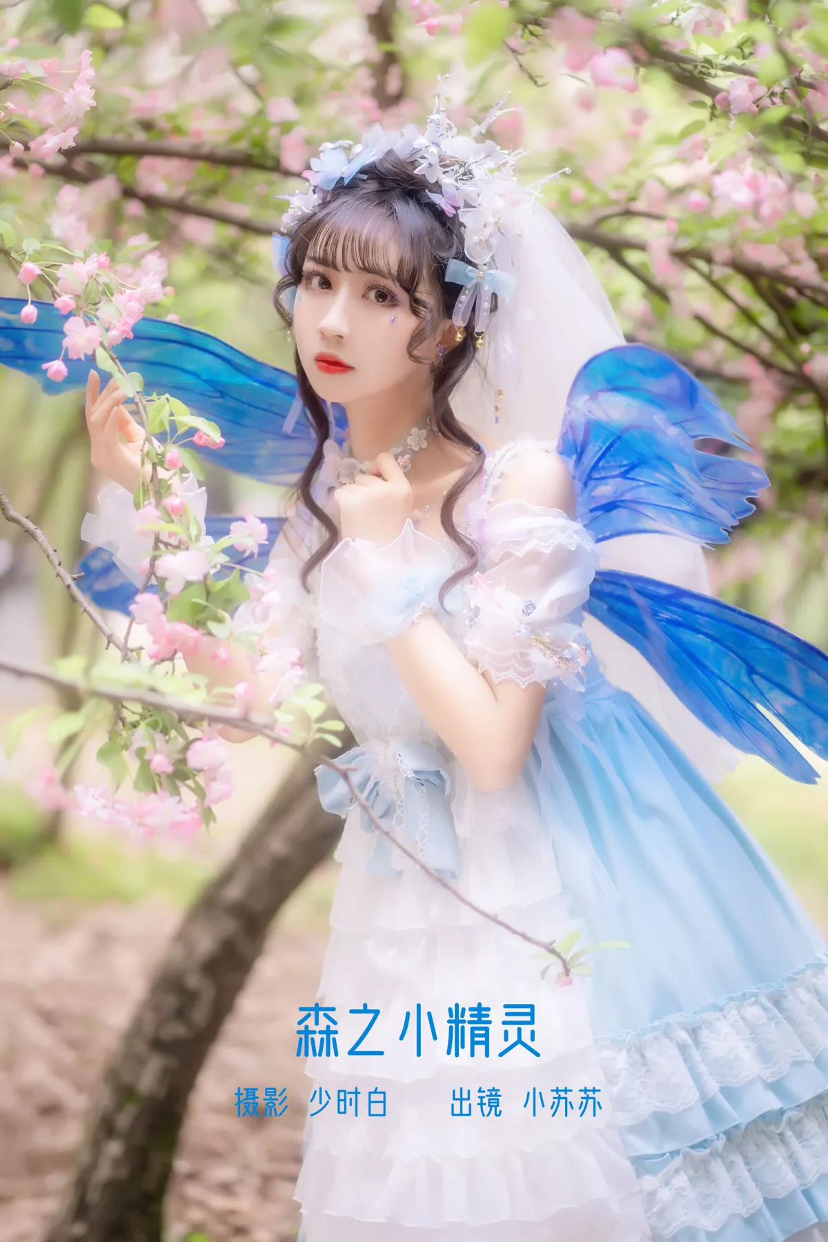 [艺图语] 2022.12.13 Vol.2670 – 森之小精灵 -绮罗生的小苏苏-