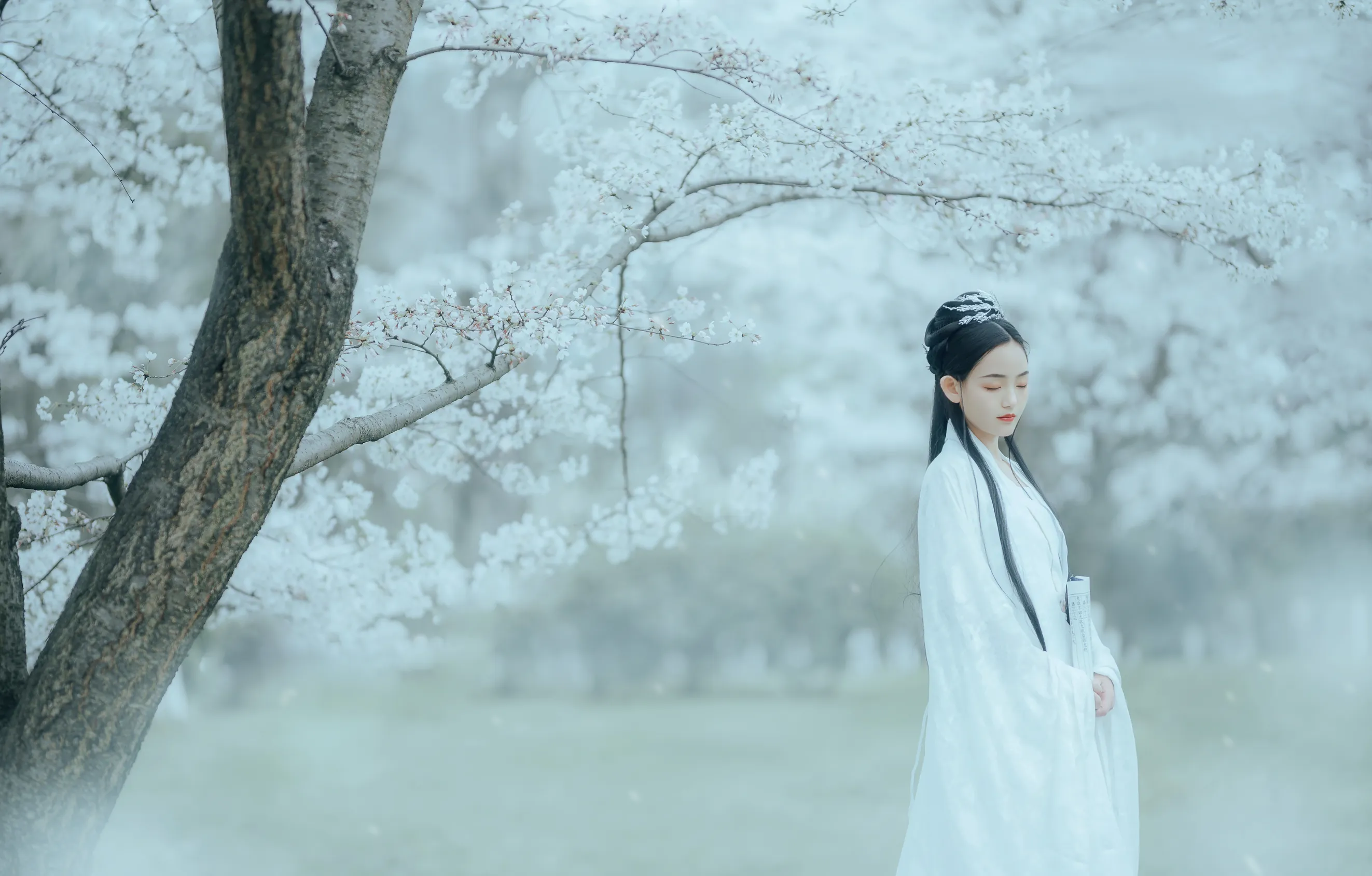 [艺图语] 2022.12.06 Vol.2613 – 樱吹雪 穆婕#[25P]-4