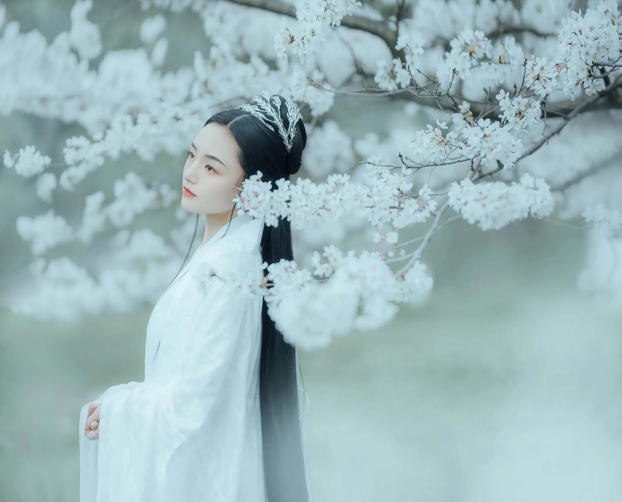 [艺图语] 2022.12.06 Vol.2613 – 樱吹雪 穆婕#[25P]-7