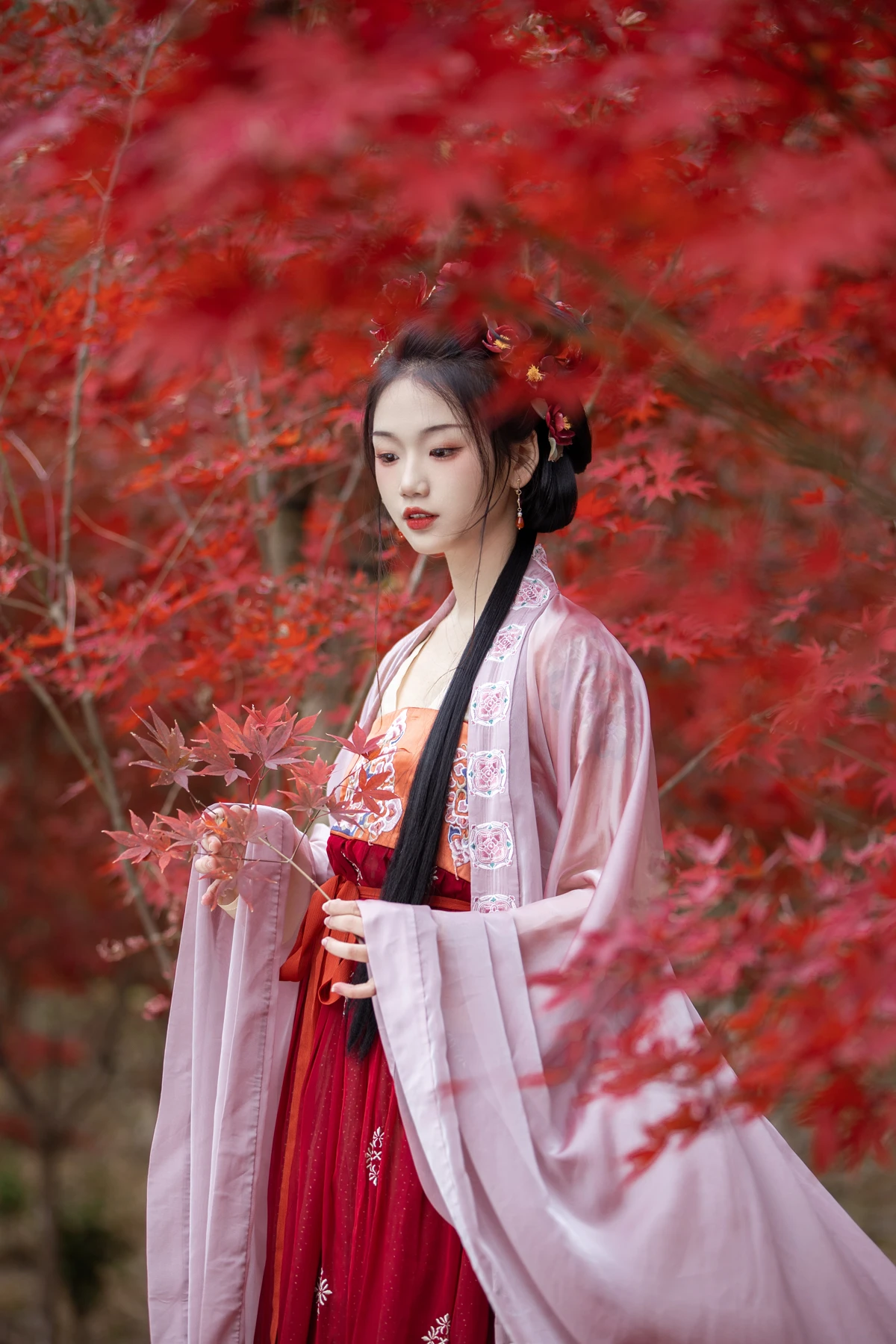 [艺图语] 2023.02.07 Vol.2994 晚枫歌 晚江亭#[34P]-9