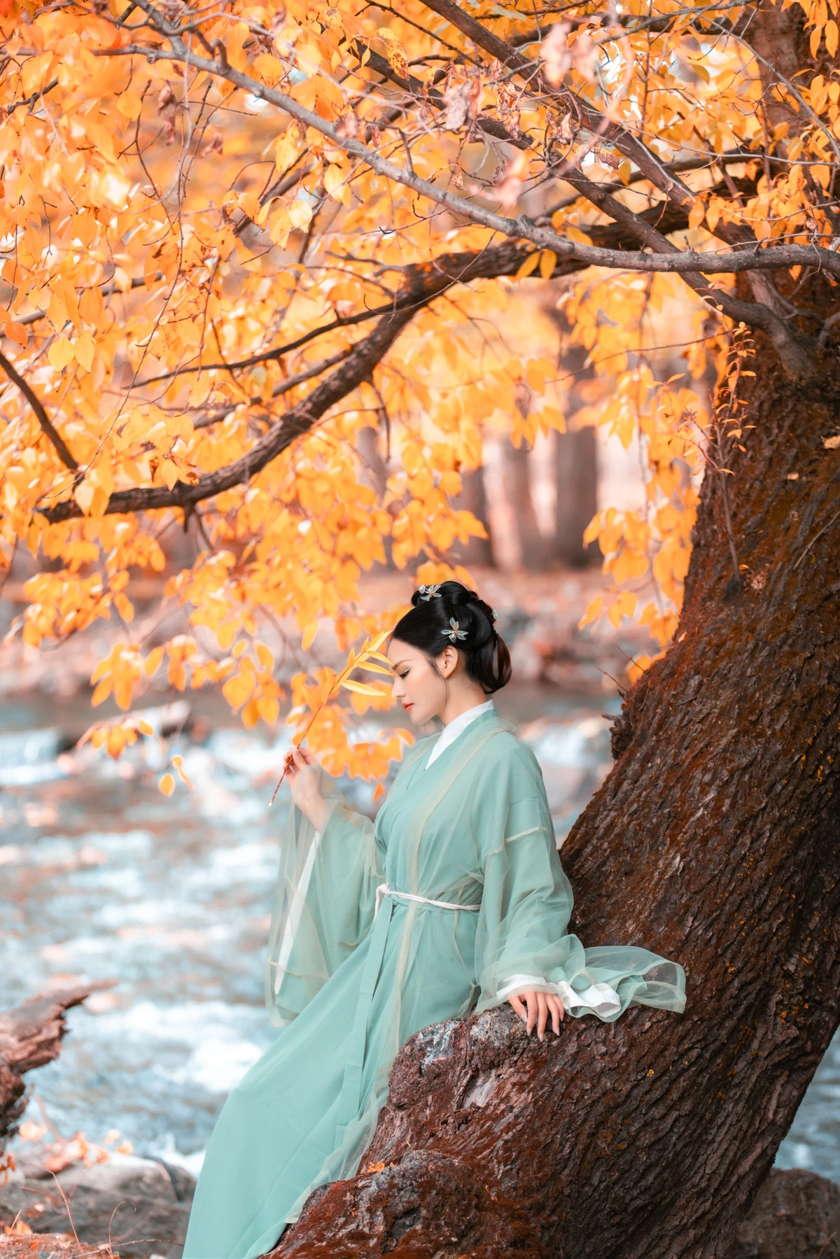 [艺图语] 2023.02.09 Vol.3006 秋叶渐红 谢阿玲#[28P]-7
