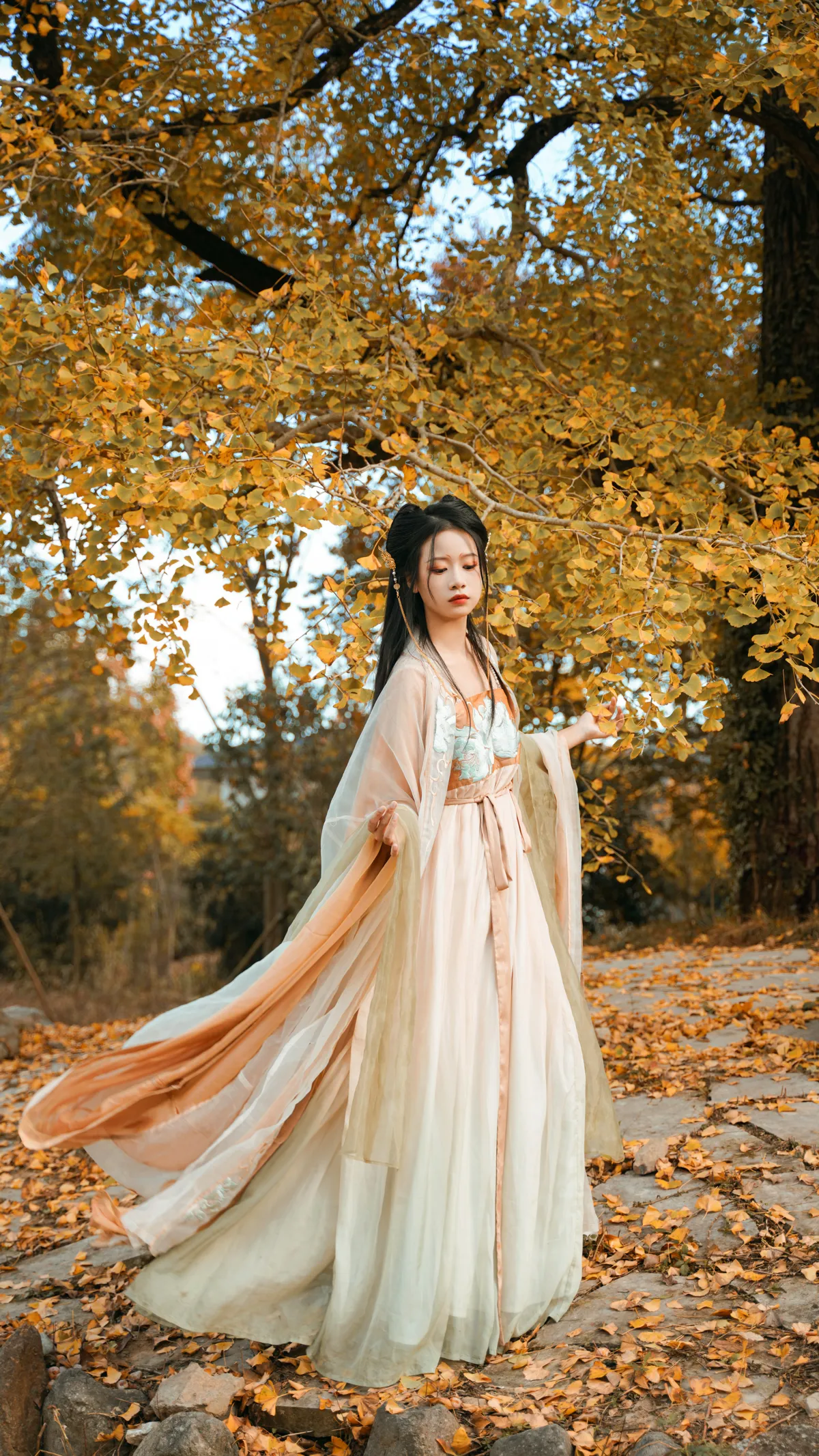 [艺图语] 2022.12.12 Vol.2664 – 银杏树下 旺旺小小舒#[39P]-9