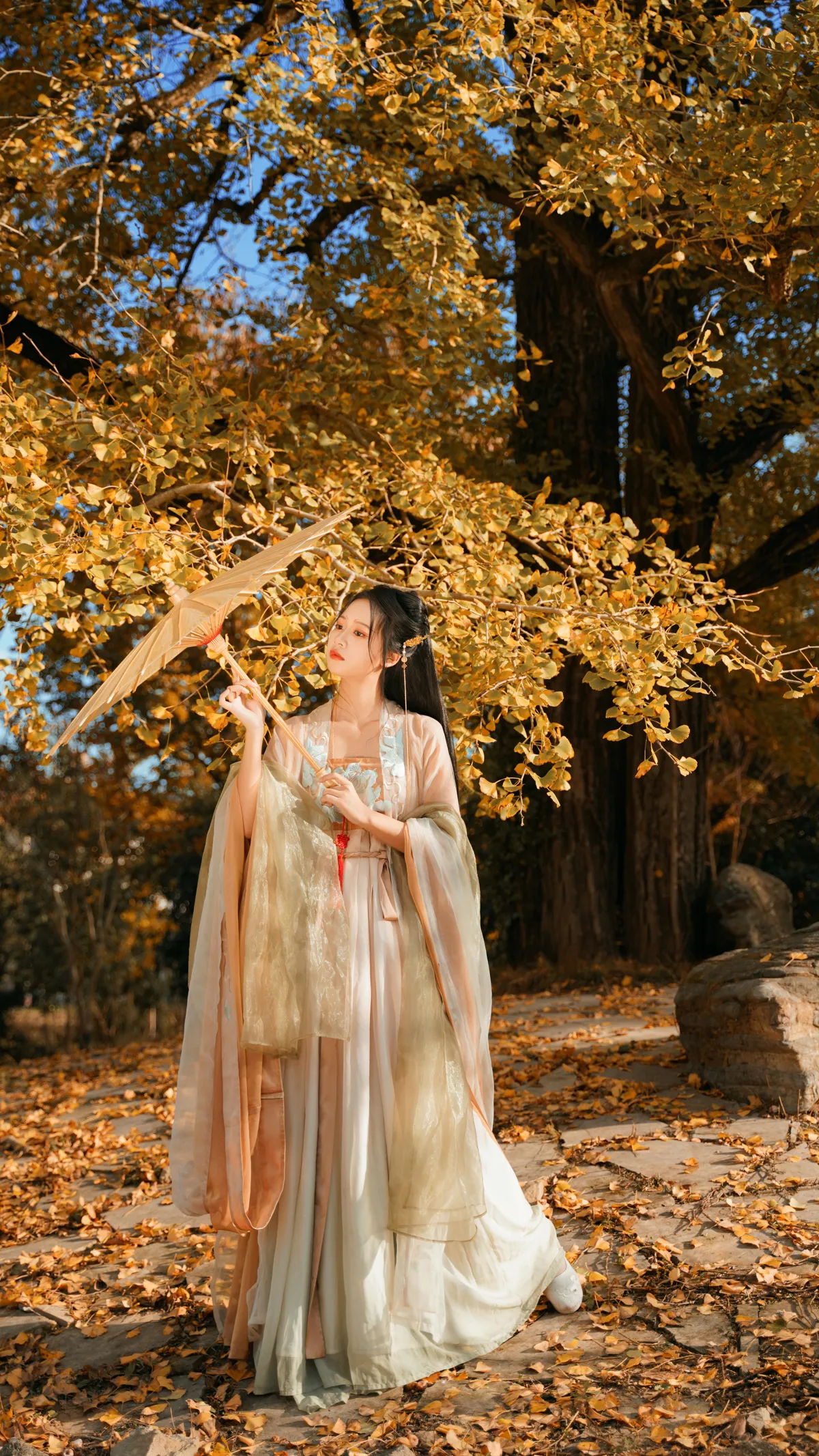 [艺图语] 2022.12.12 Vol.2664 – 银杏树下 旺旺小小舒#[39P]-1