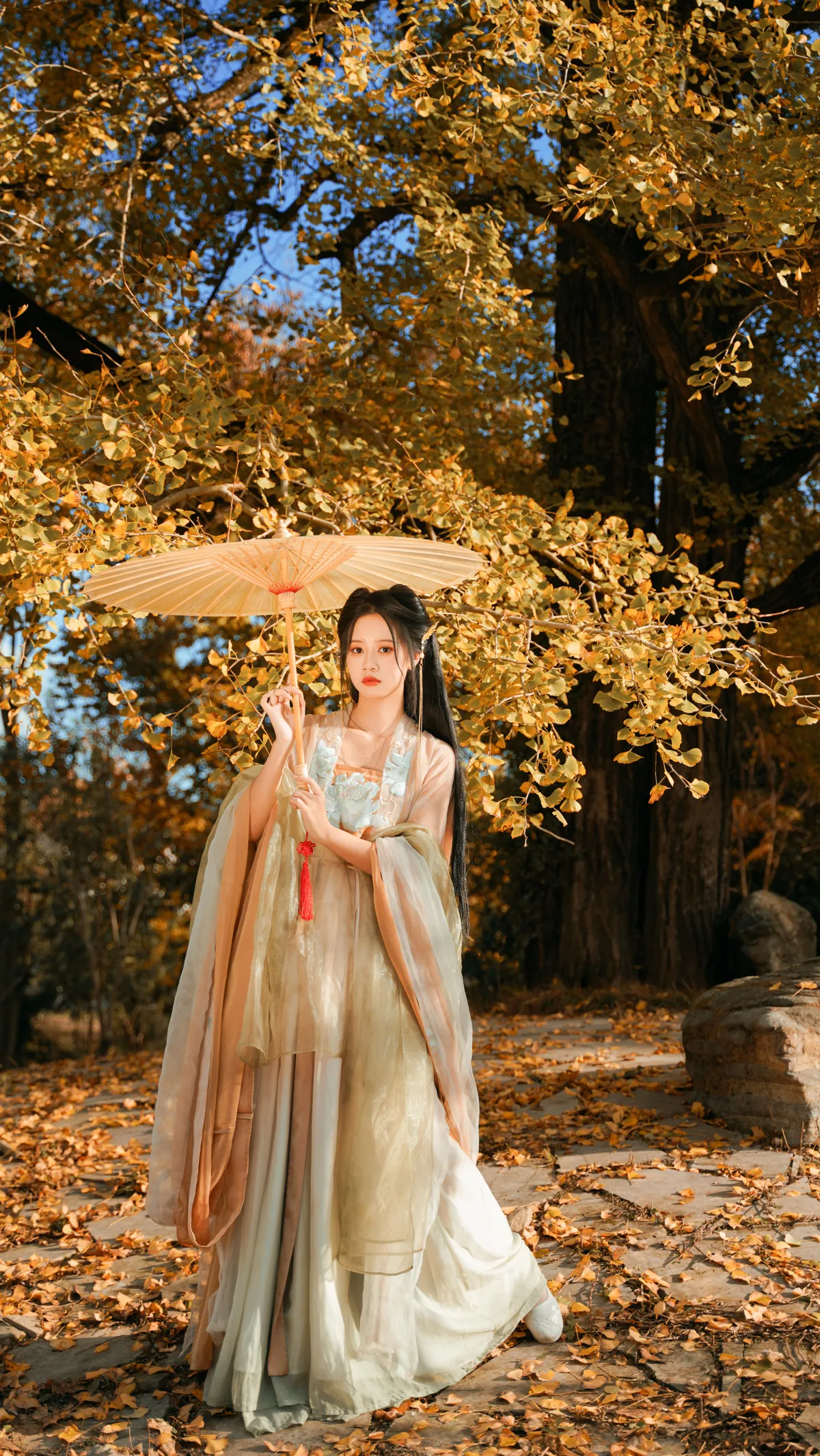 [艺图语] 2022.12.12 Vol.2664 – 银杏树下 旺旺小小舒#[39P]-2