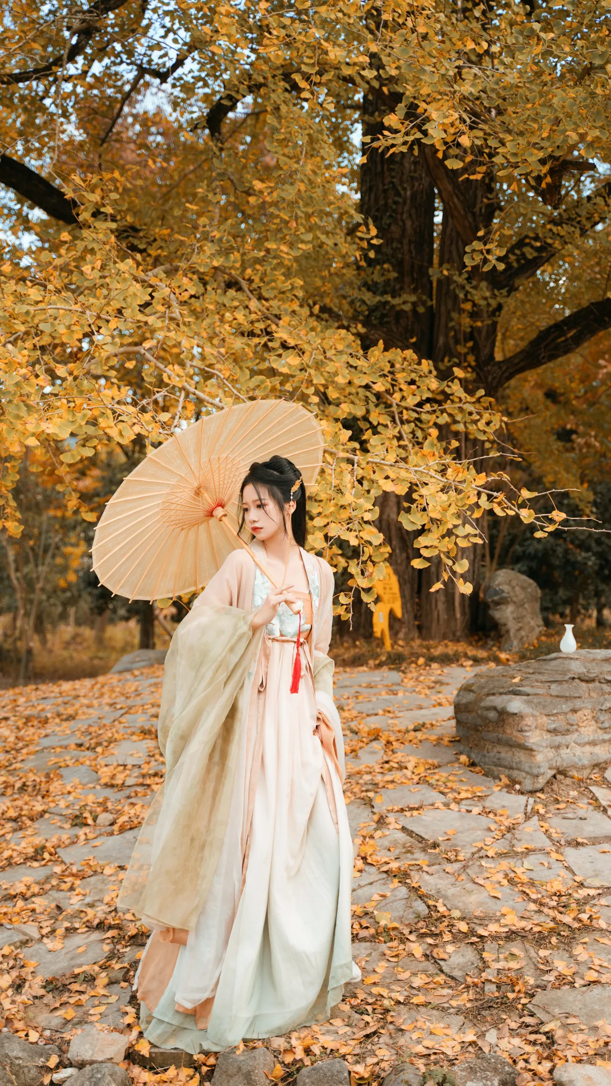 [艺图语] 2022.12.12 Vol.2664 – 银杏树下 旺旺小小舒#[39P]-3