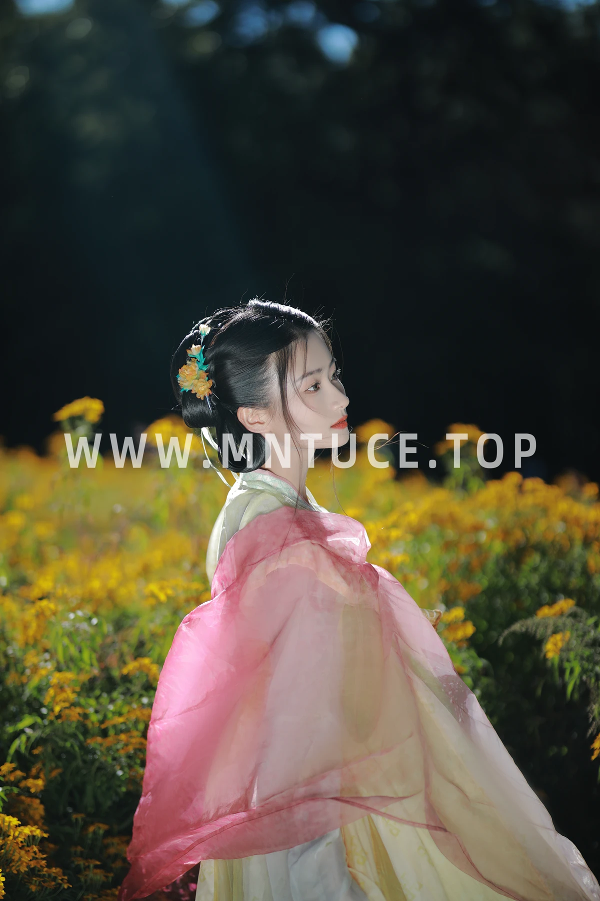 [艺图语] 2022.12.31 Vol.2804 – 我曾是一朵花 Y#[33P]-3