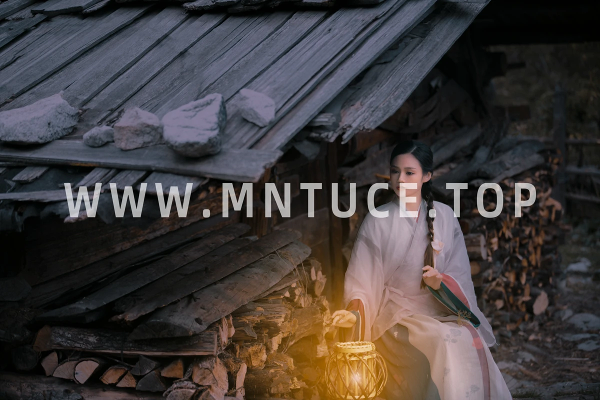 [艺图语] 2023.02.07 Vol.2991 暮色晚归 谢阿玲#[32P]-1