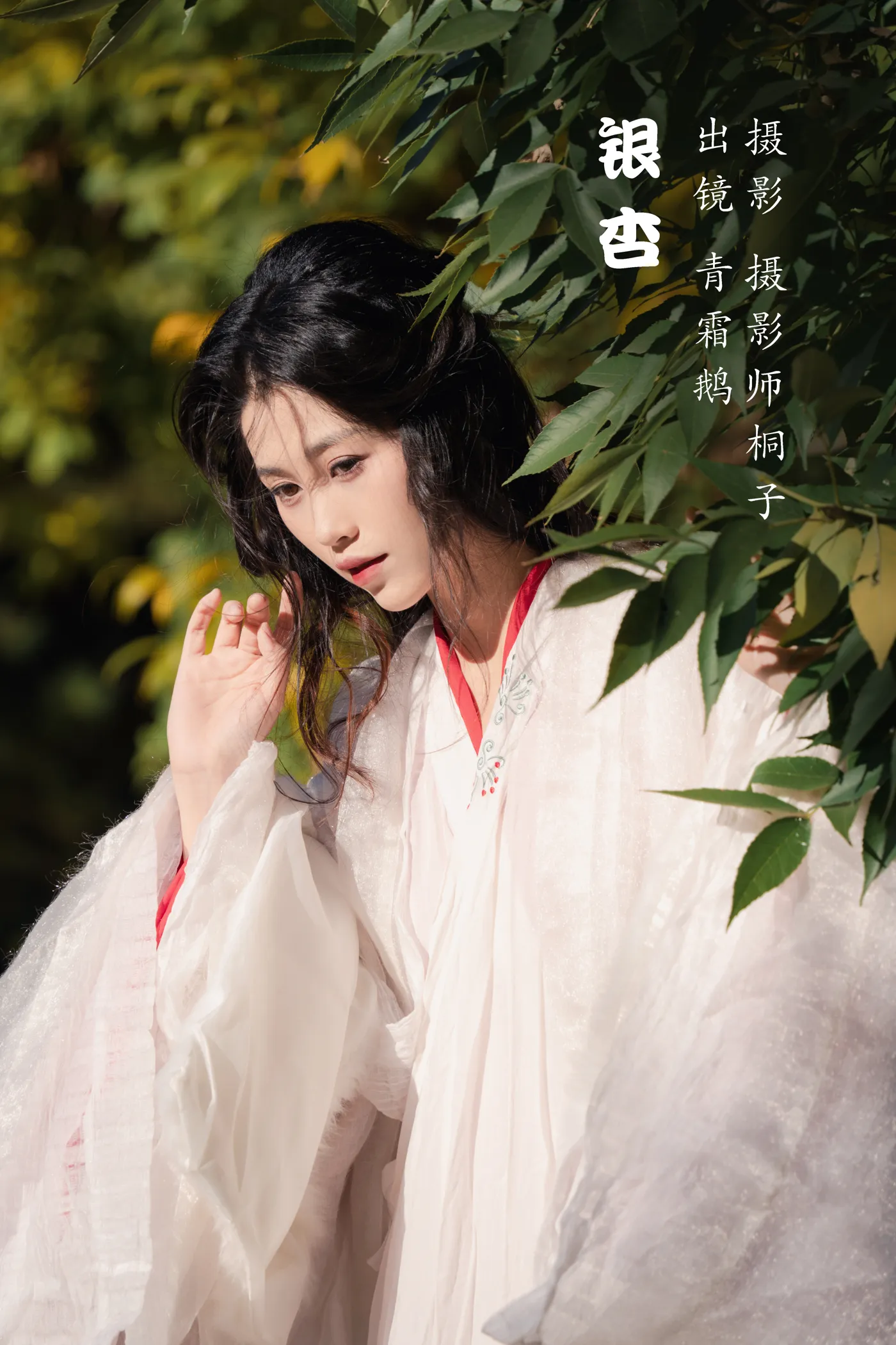 [艺图语] 2022.11.30 Vol.2568 – 银杏 青霜鹅#[26P]-1