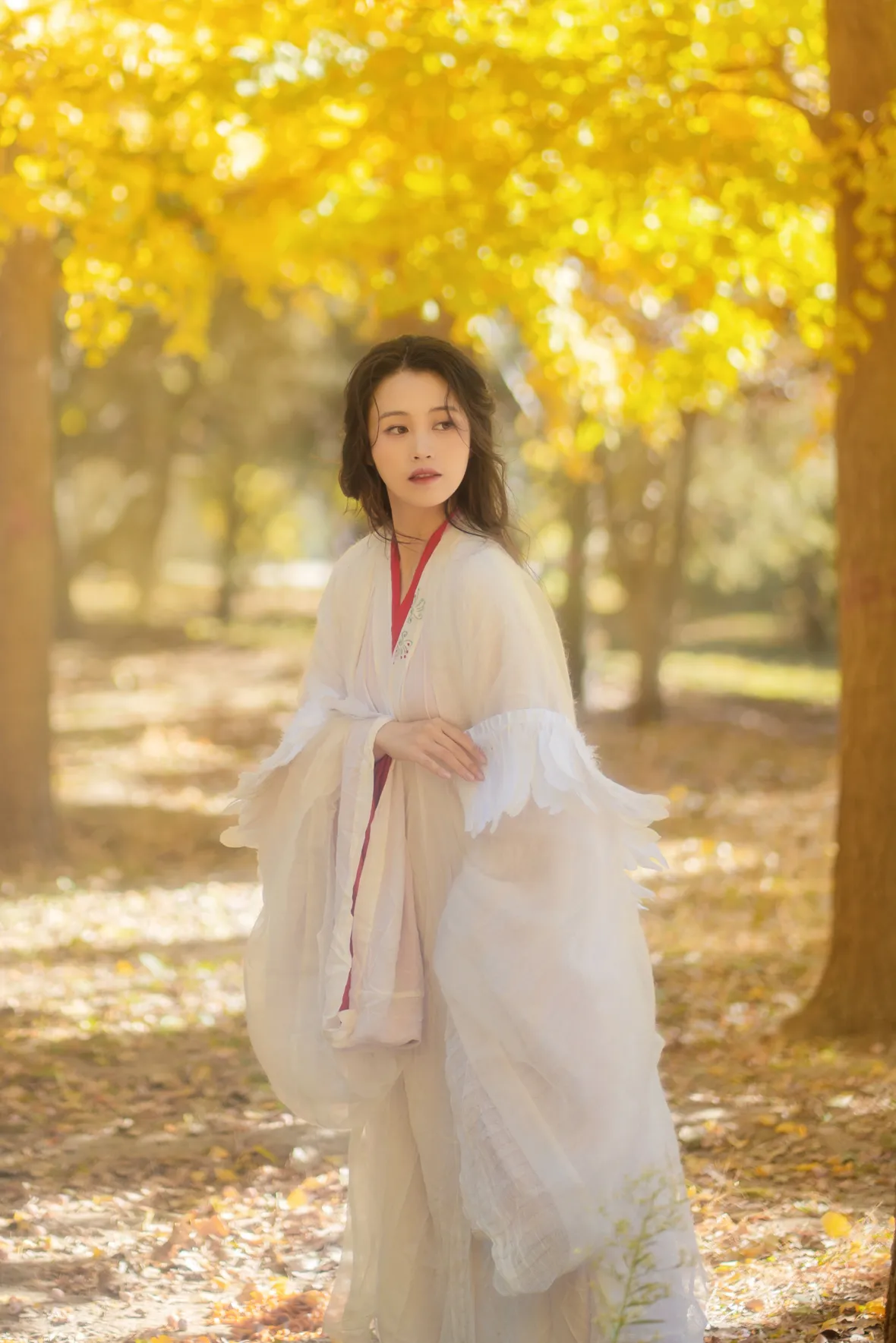 [艺图语] 2022.11.30 Vol.2568 – 银杏 青霜鹅#[26P]-10