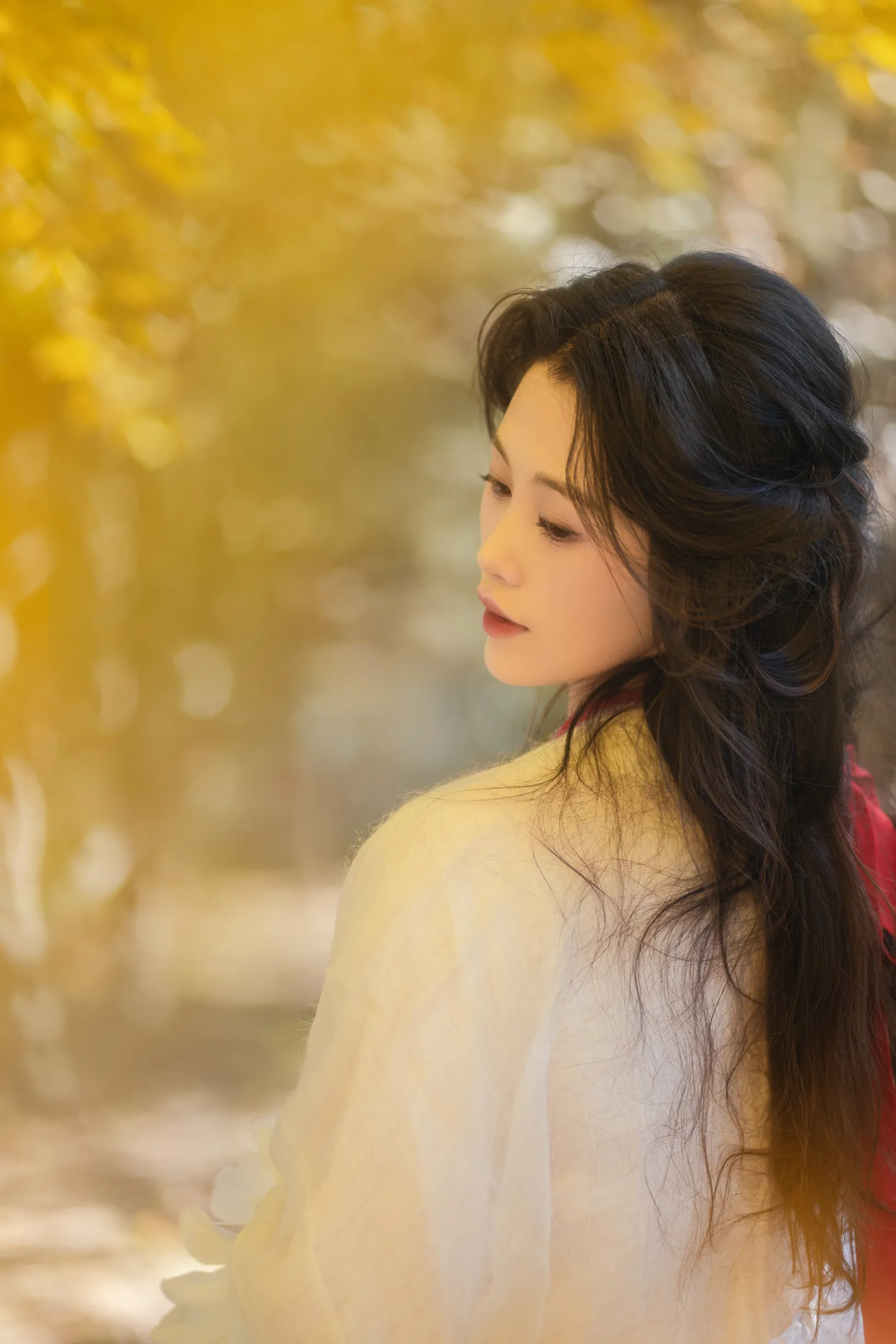 [艺图语] 2022.11.30 Vol.2568 – 银杏 青霜鹅#[26P]-1