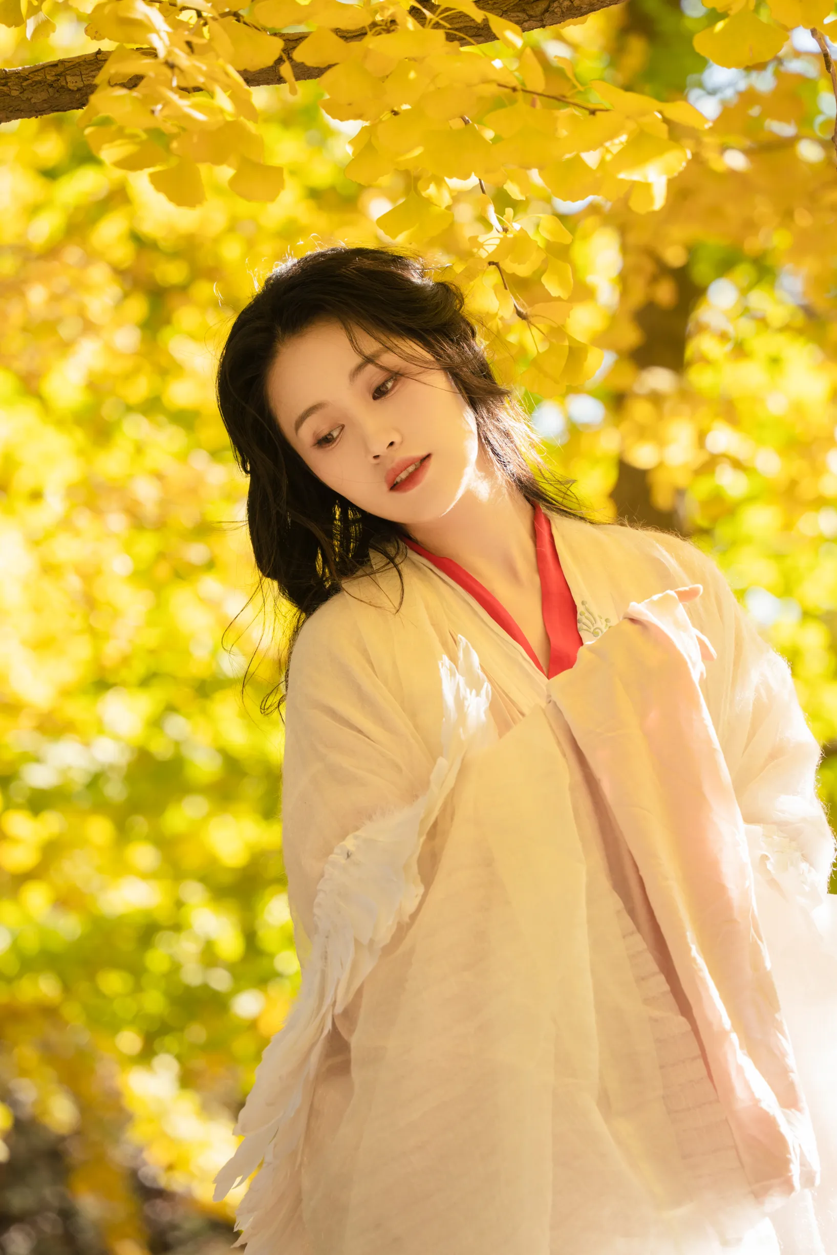 [艺图语] 2022.11.30 Vol.2568 – 银杏 青霜鹅#[26P]-2