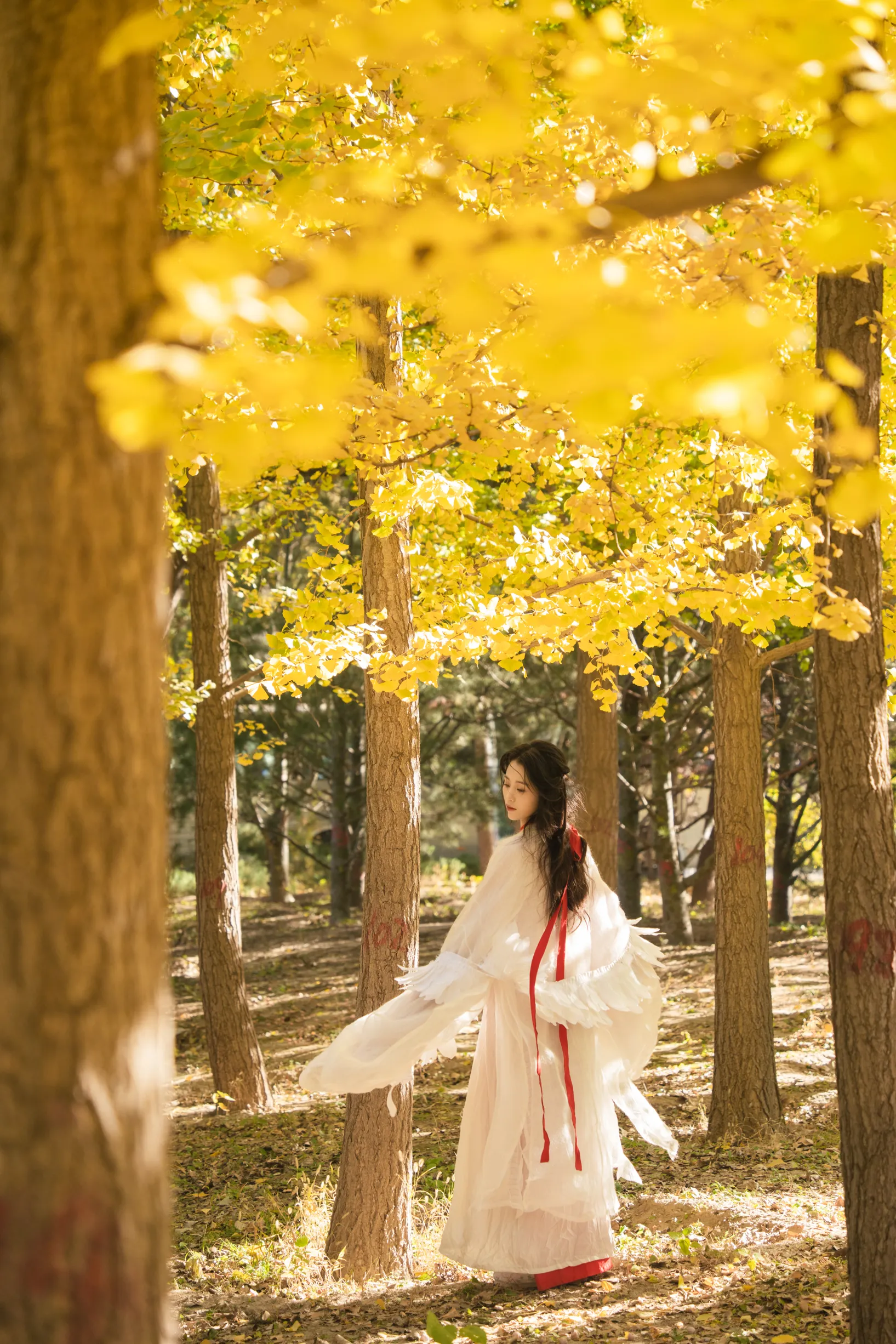 [艺图语] 2022.11.30 Vol.2568 – 银杏 青霜鹅#[26P]-4