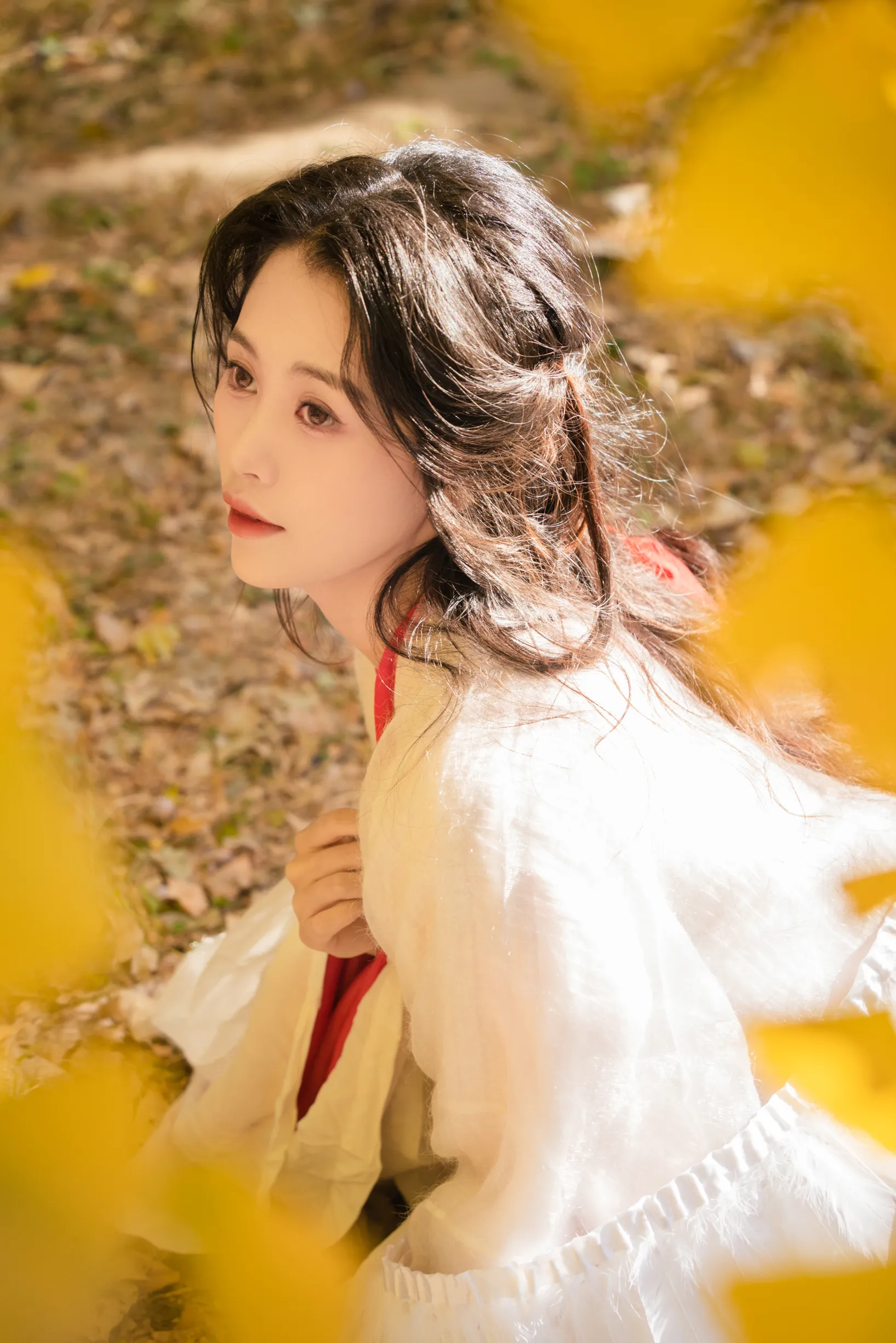 [艺图语] 2022.11.30 Vol.2568 – 银杏 青霜鹅#[26P]-6