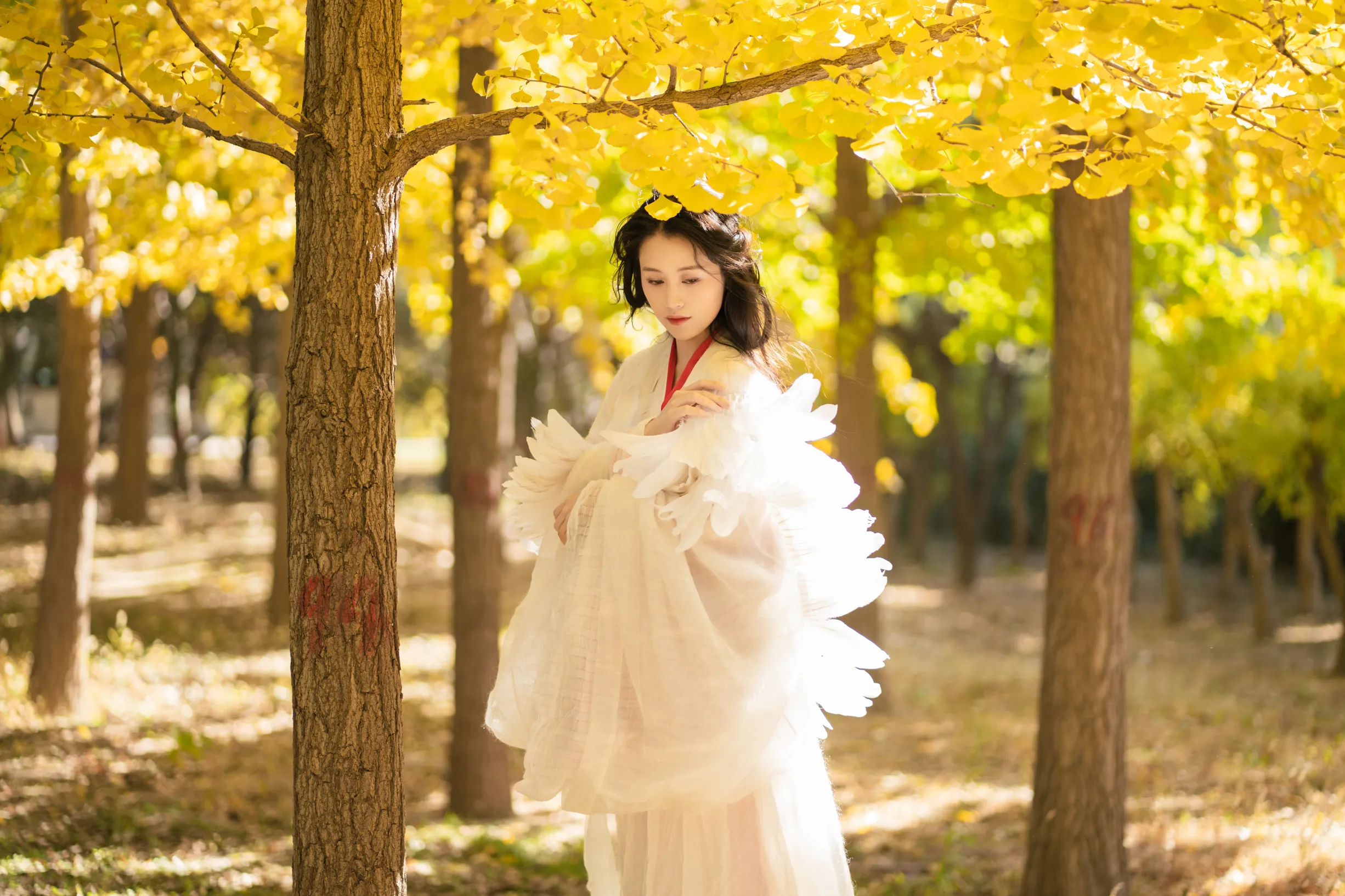 [艺图语] 2022.11.30 Vol.2568 – 银杏 青霜鹅#[26P]-7