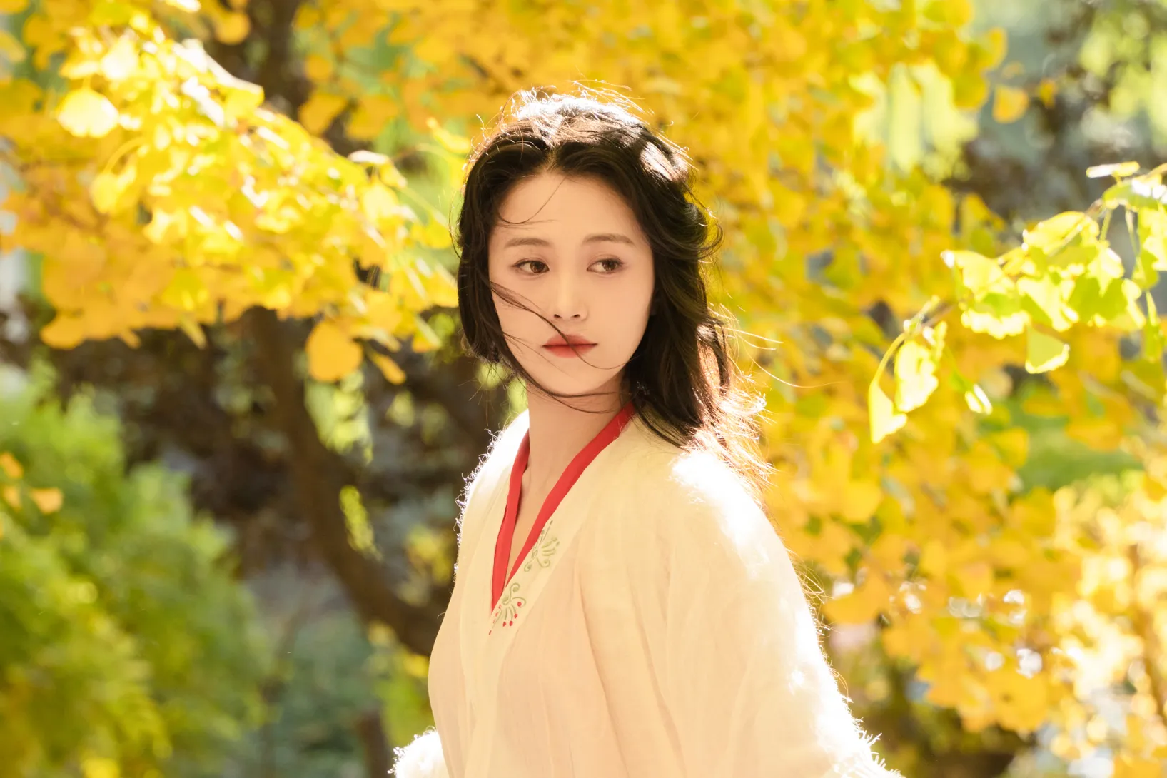 [艺图语] 2022.11.30 Vol.2568 – 银杏 青霜鹅#[26P]-9