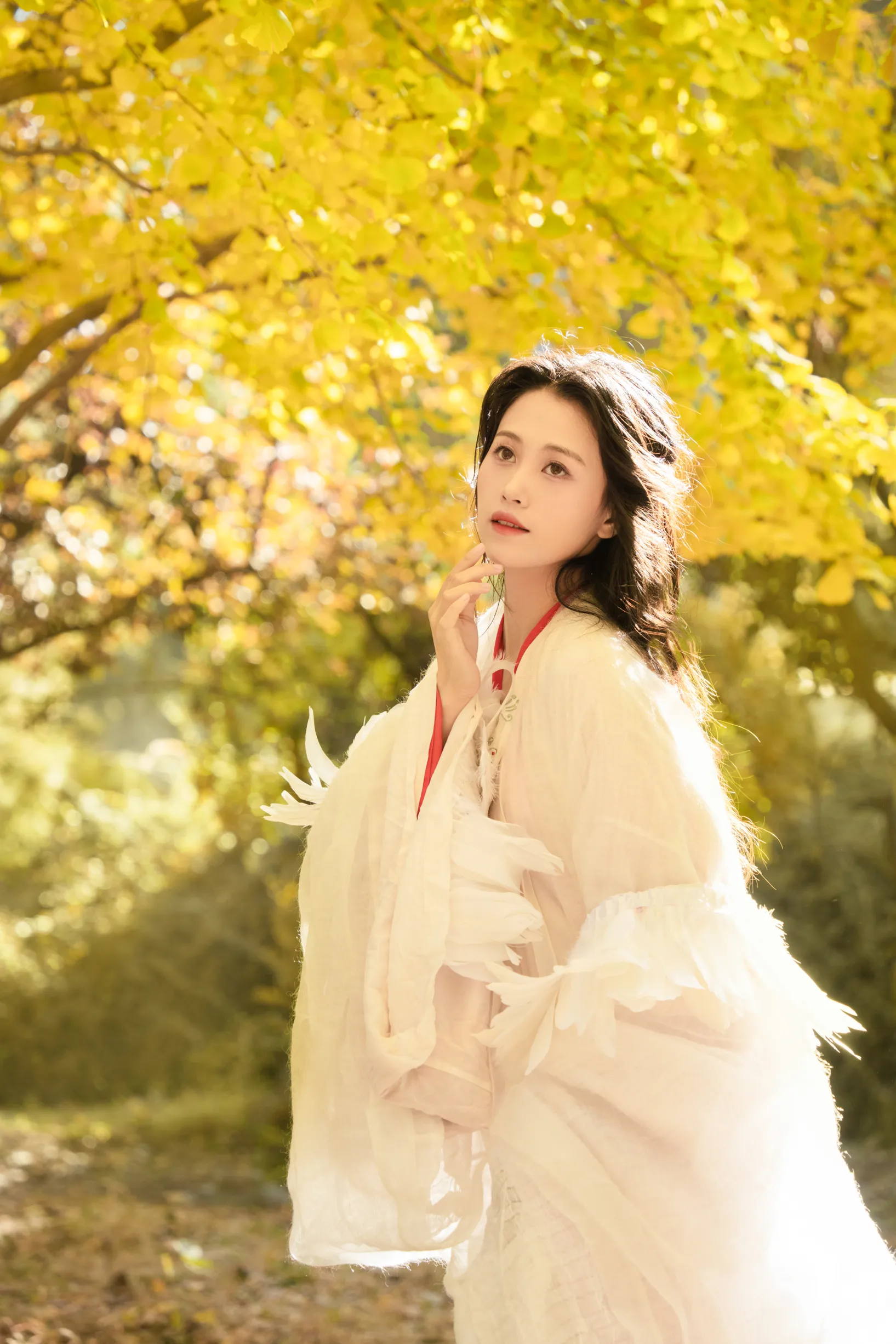 [艺图语] 2022.11.30 Vol.2568 – 银杏 青霜鹅#[26P]-10