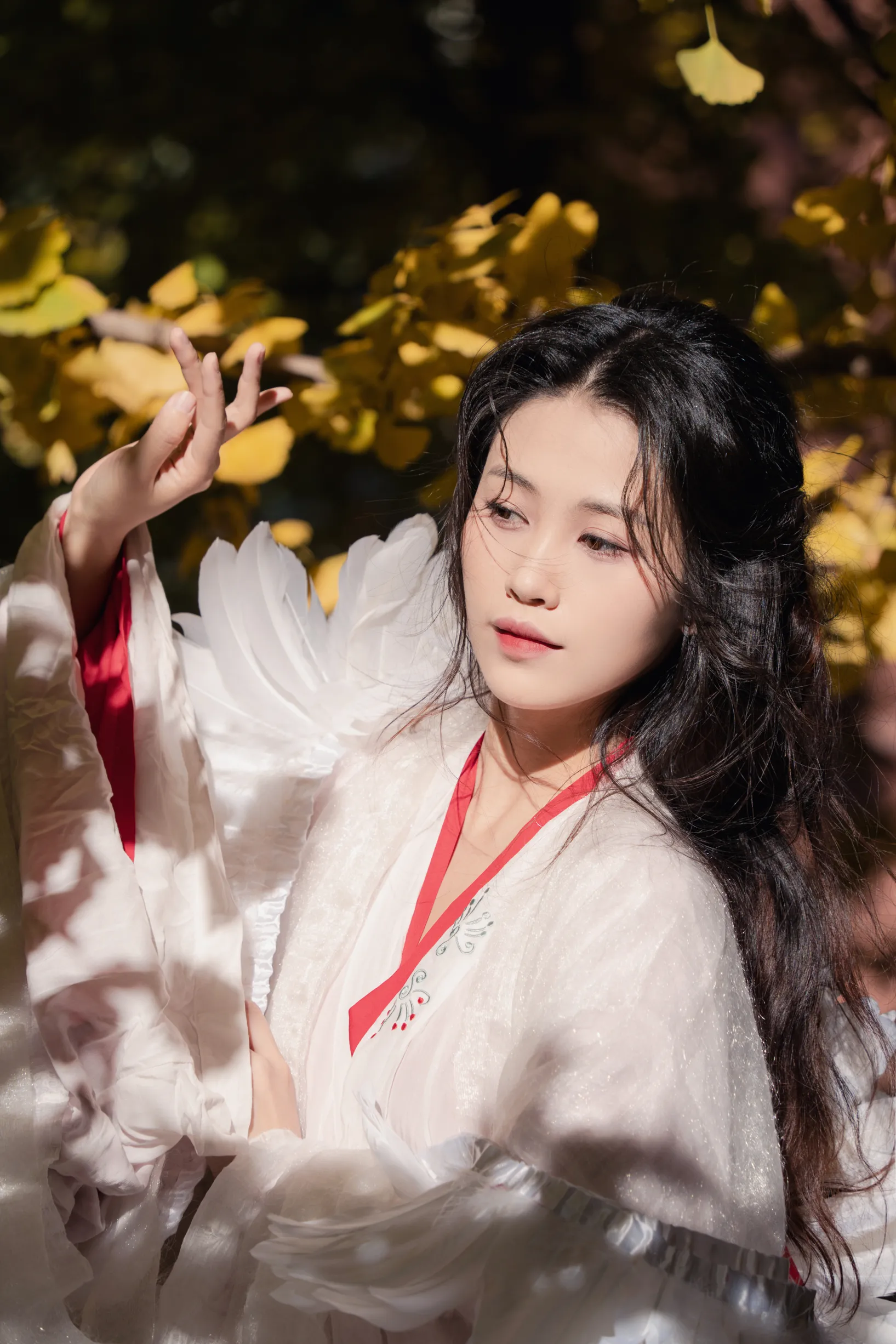 [艺图语] 2022.11.30 Vol.2568 – 银杏 青霜鹅#[26P]-1