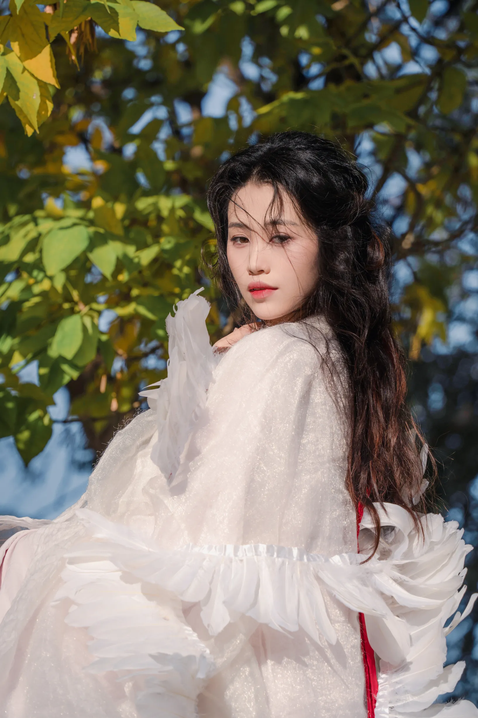 [艺图语] 2022.11.30 Vol.2568 – 银杏 青霜鹅#[26P]-3