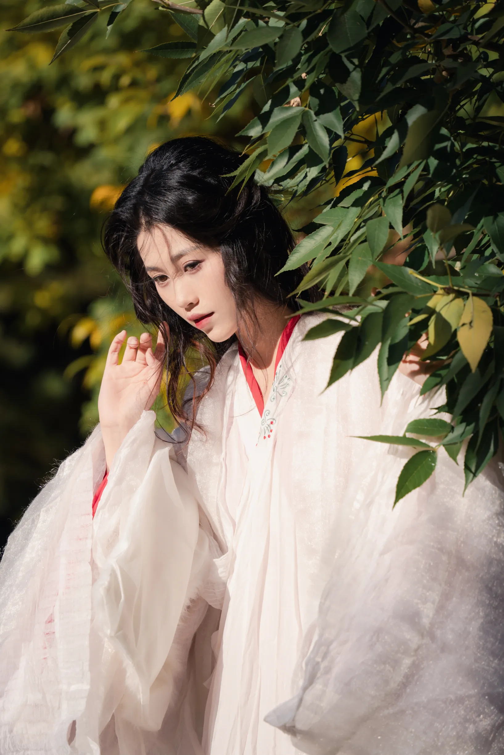[艺图语] 2022.11.30 Vol.2568 – 银杏 青霜鹅#[26P]-4