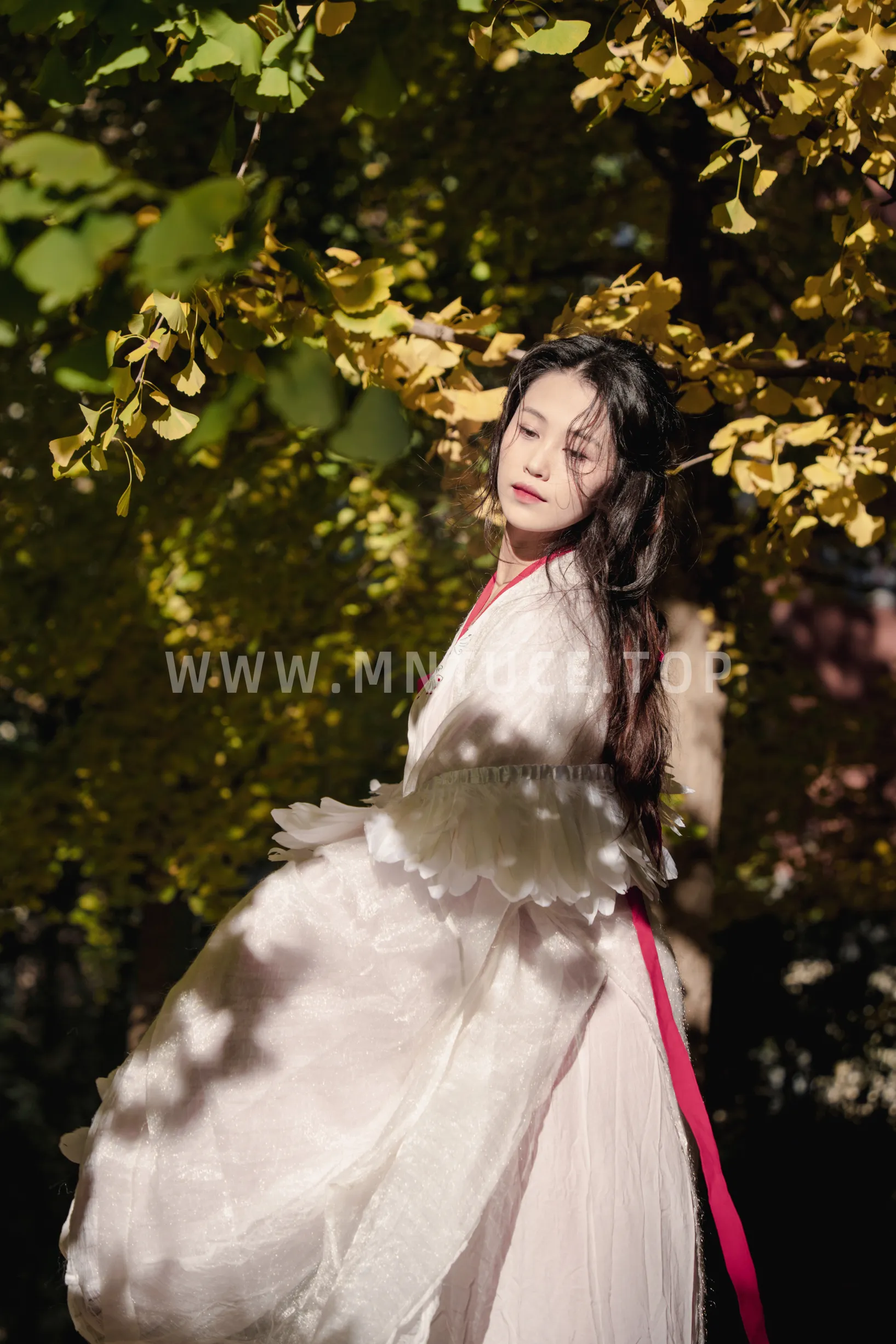 [艺图语] 2022.11.30 Vol.2568 – 银杏 青霜鹅#[26P]-5