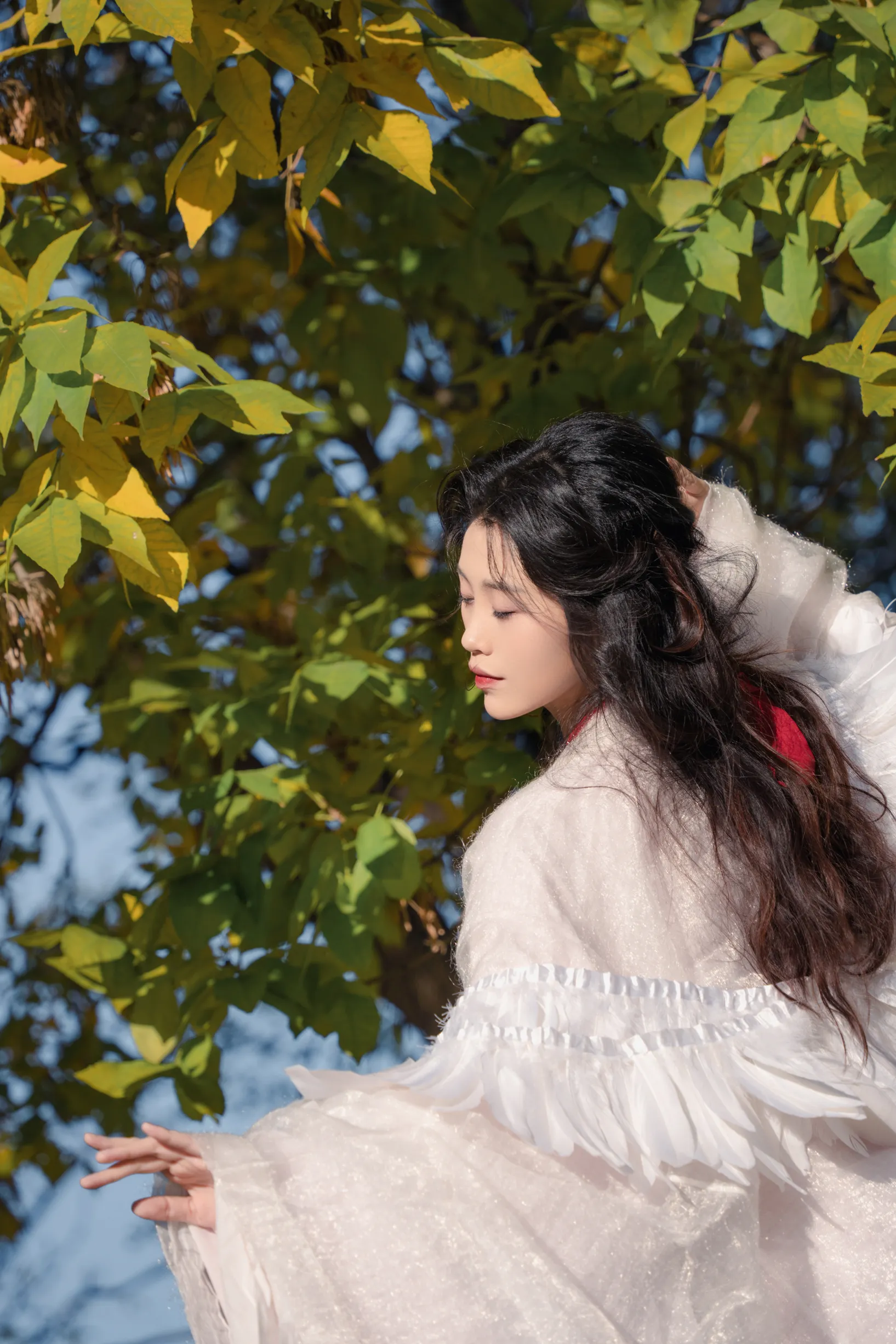 [艺图语] 2022.11.30 Vol.2568 – 银杏 青霜鹅#[26P]-6