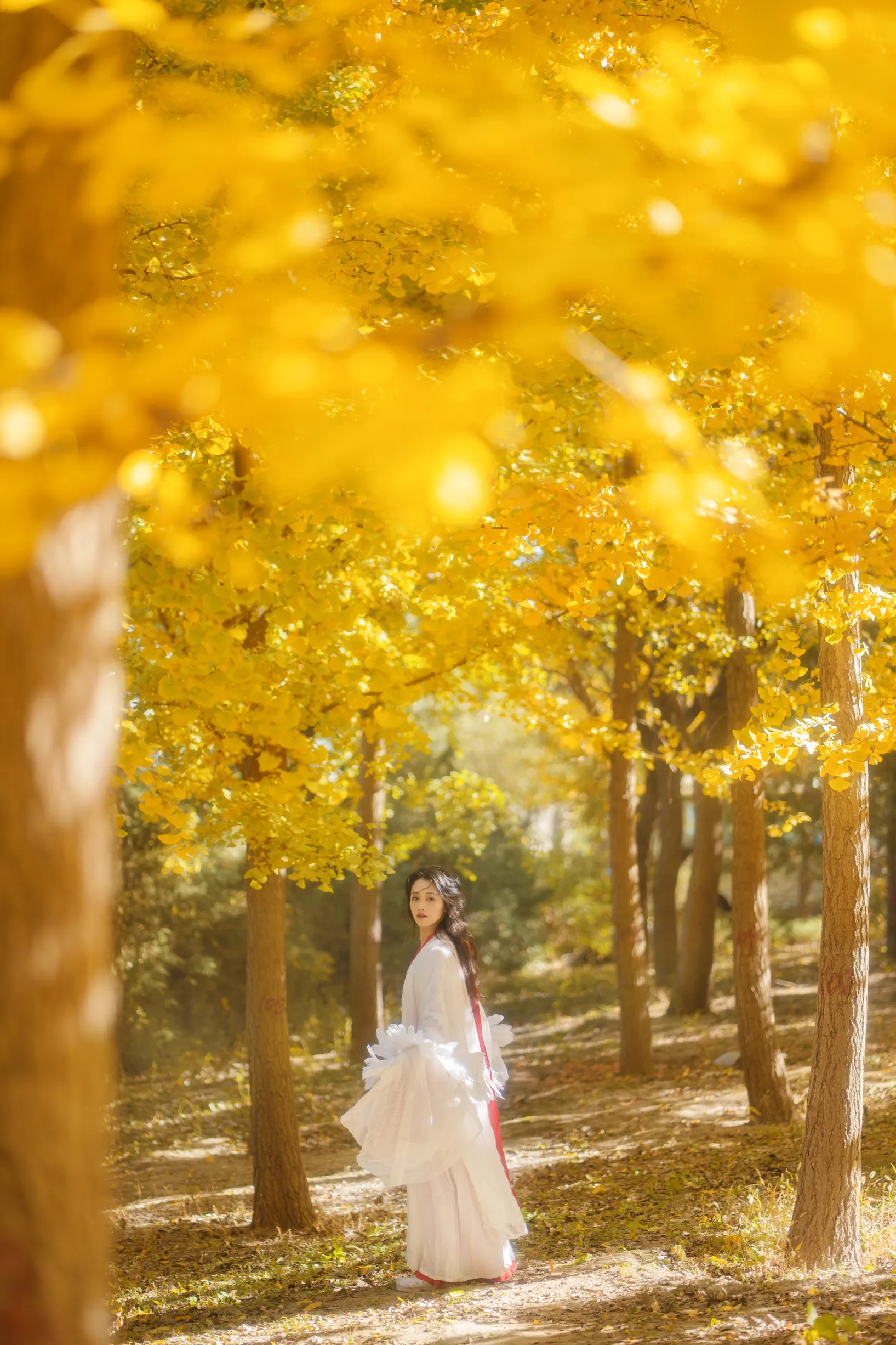 [艺图语] 2022.11.30 Vol.2568 – 银杏 青霜鹅#[26P]-3