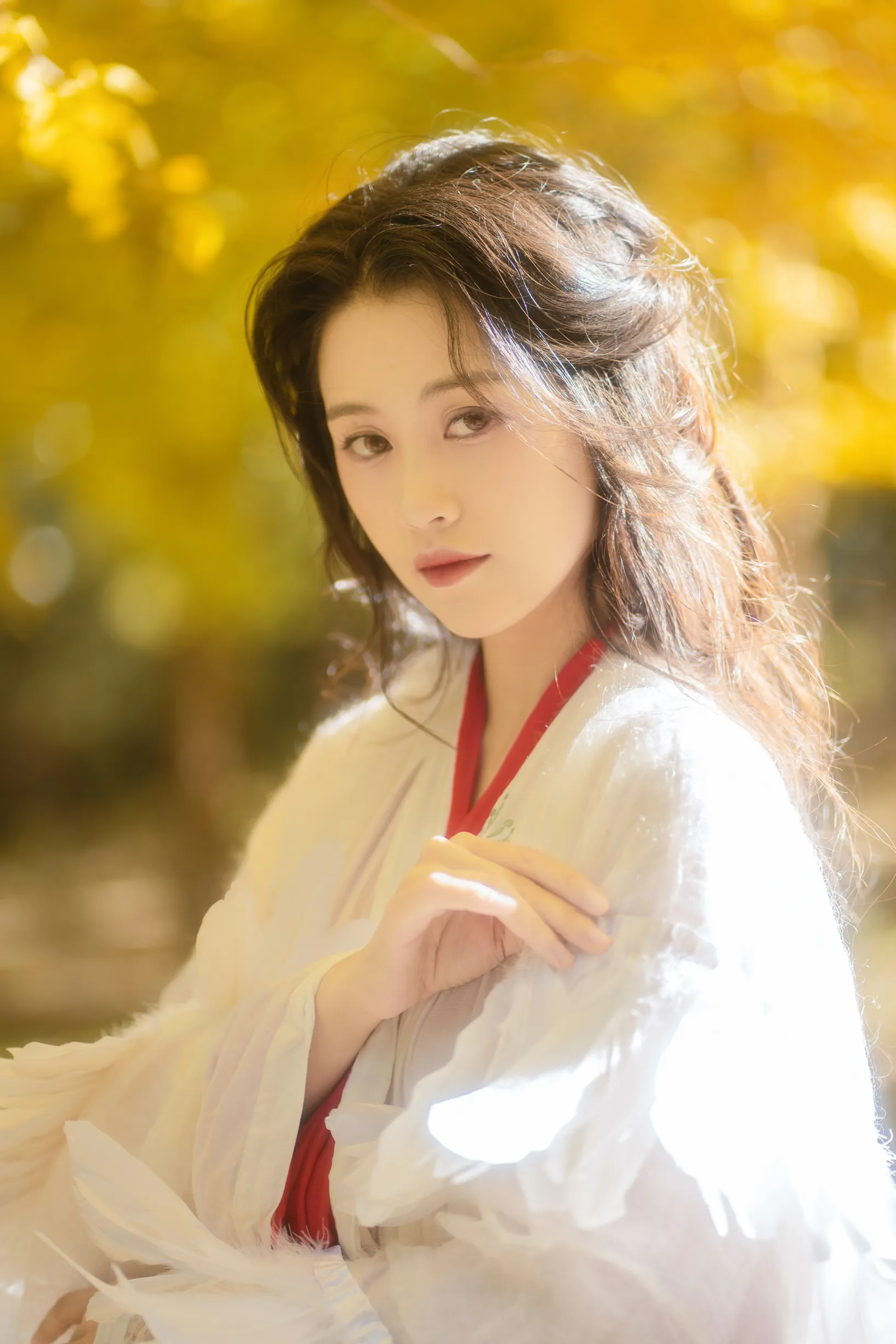 [艺图语] 2022.11.30 Vol.2568 – 银杏 青霜鹅#[26P]-5
