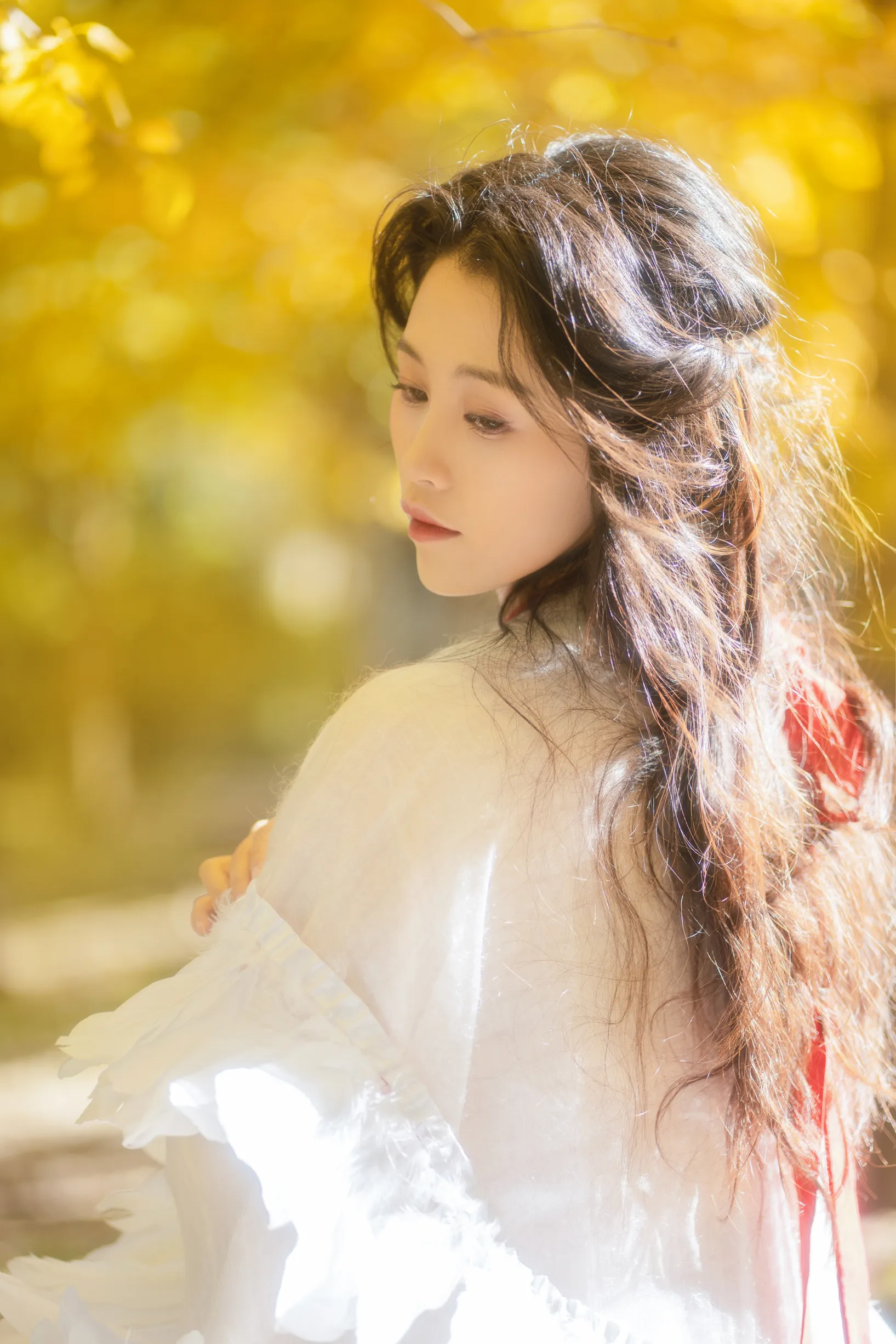 [艺图语] 2022.11.30 Vol.2568 – 银杏 青霜鹅#[26P]-6