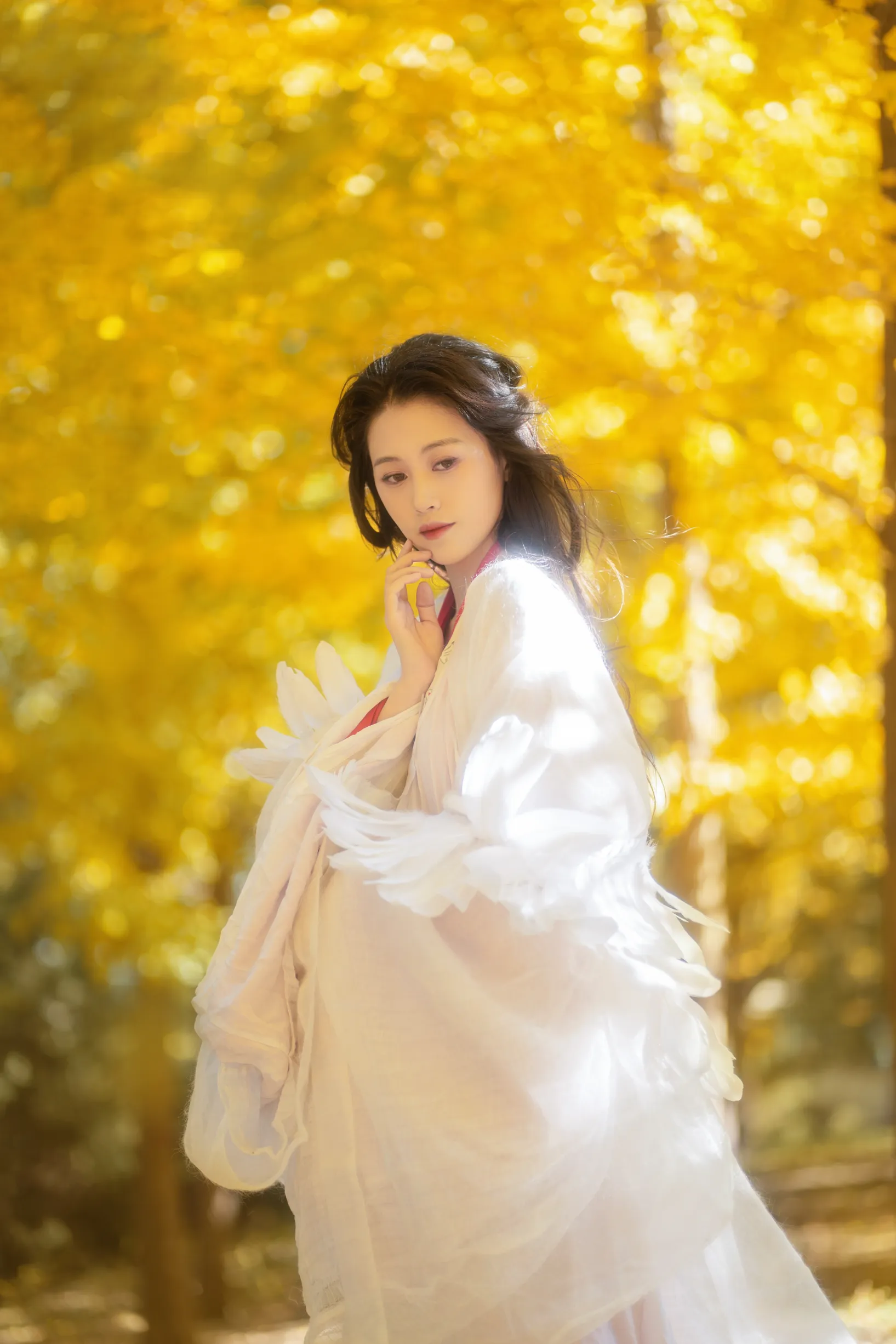 [艺图语] 2022.11.30 Vol.2568 – 银杏 青霜鹅#[26P]-7