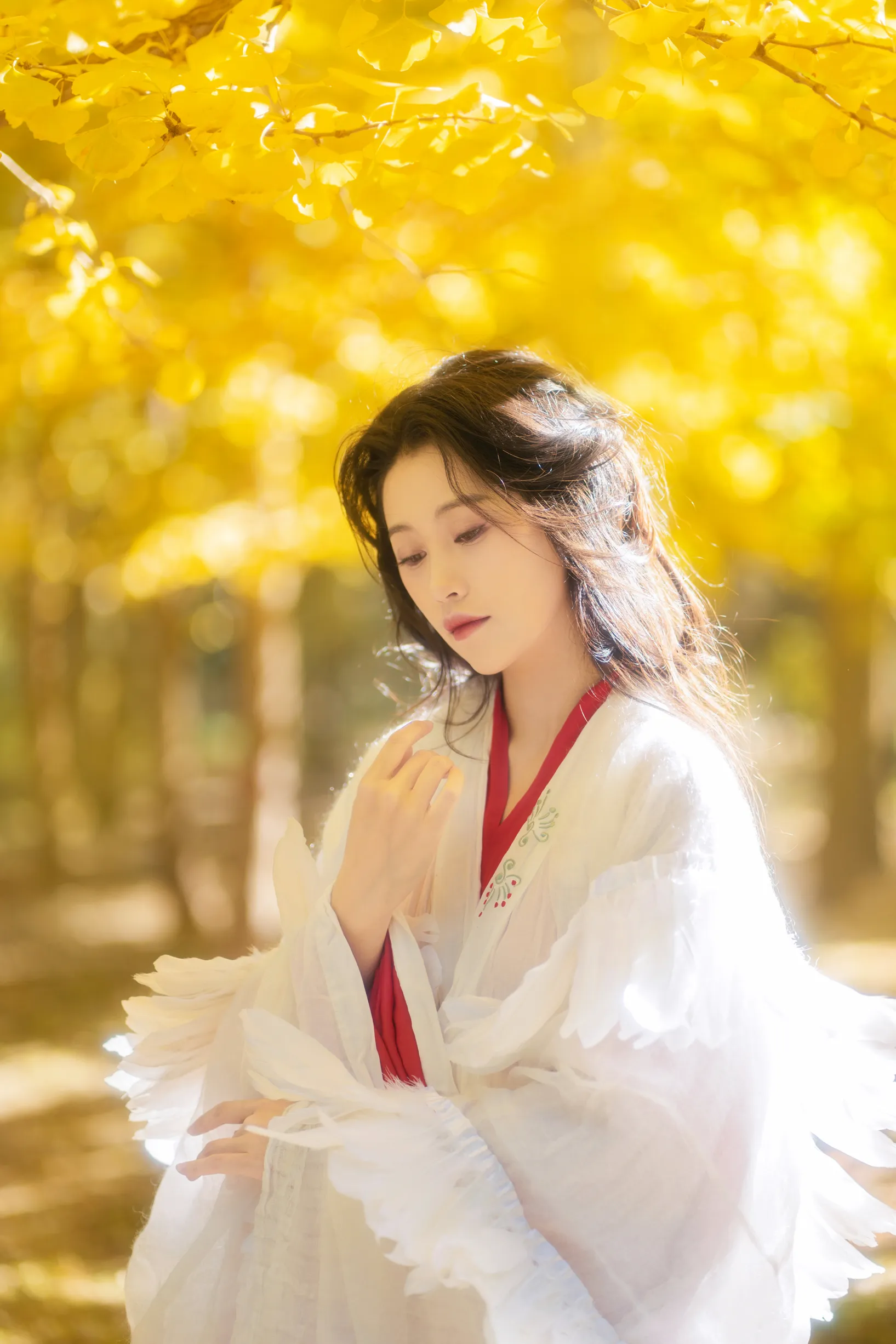 [艺图语] 2022.11.30 Vol.2568 – 银杏 青霜鹅#[26P]-8