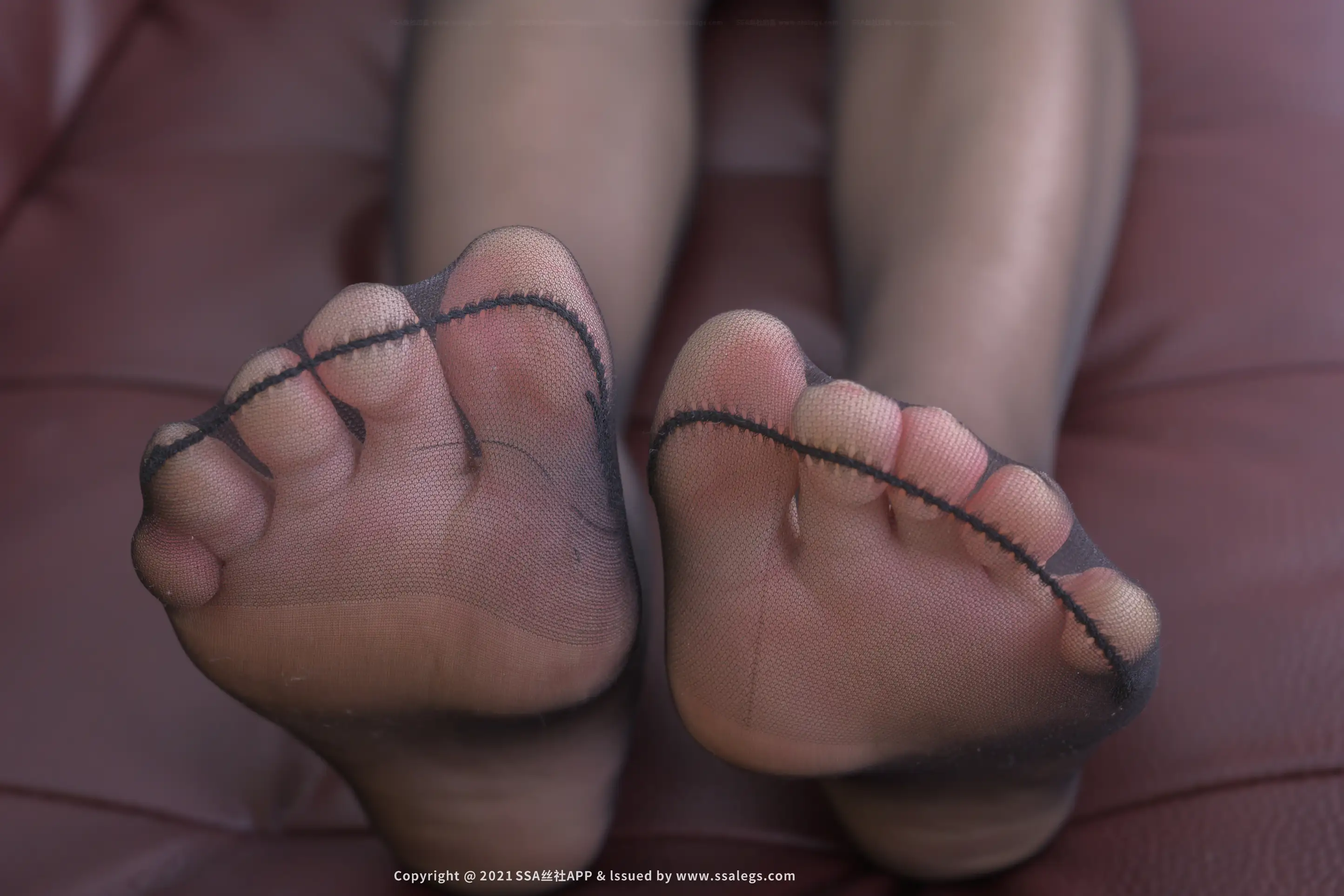 [爱美足] NO.645 模特安妍的黑丝美腿(下) 丝社#[118P]-1