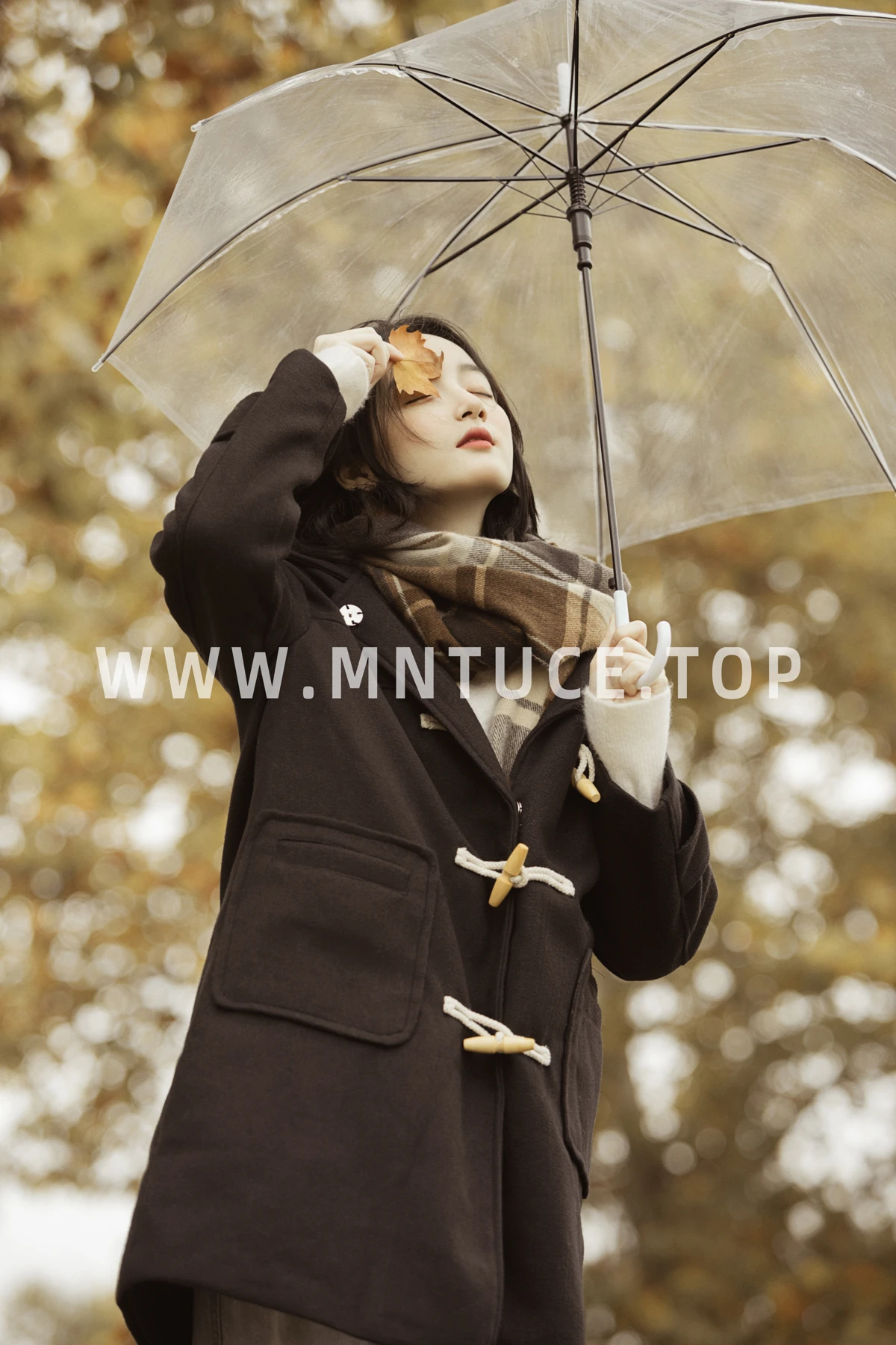 [艺图语] 2023.01.16 Vol.2925 漫步梧桐林 肖绿叶#[26P]-1