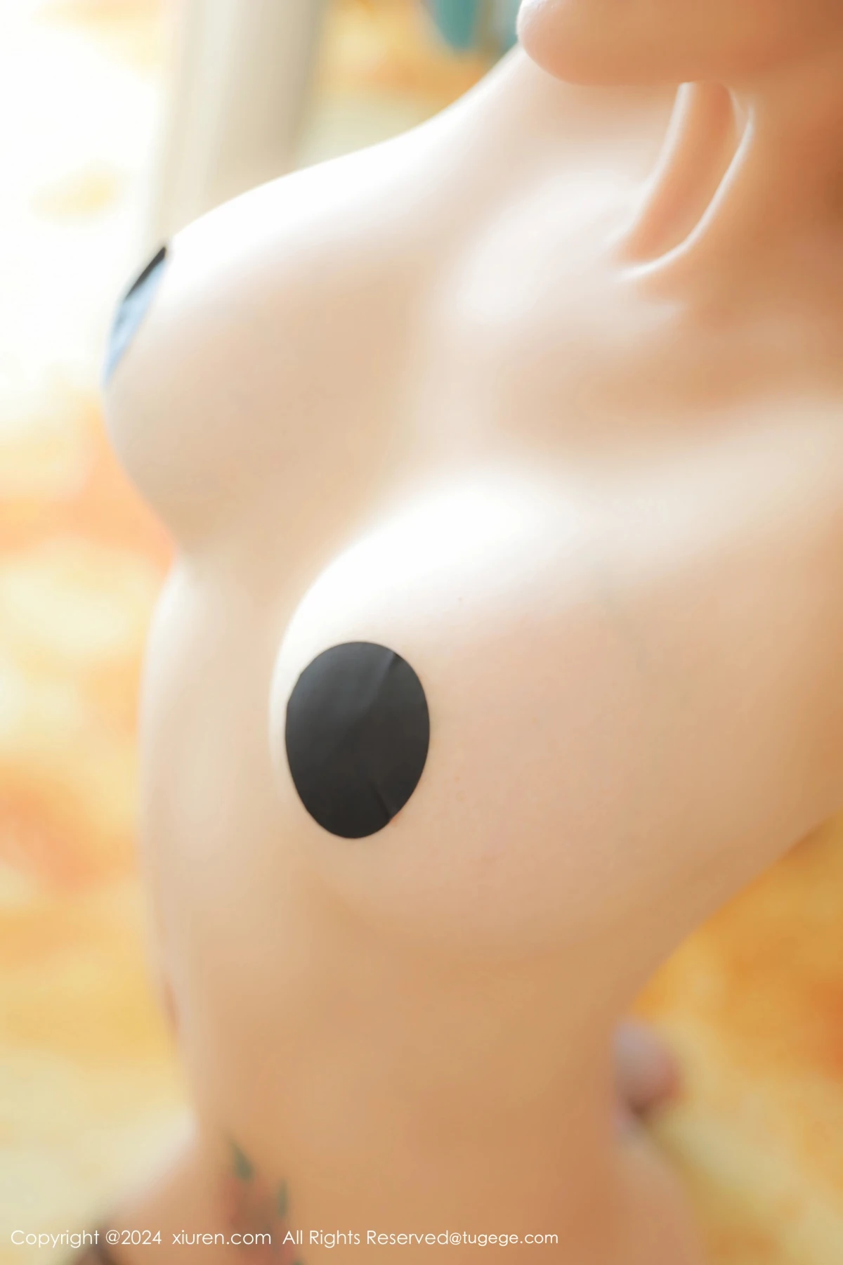 [秀人网] 2024.12.04 No.9547 田冰冰#[55P]-1