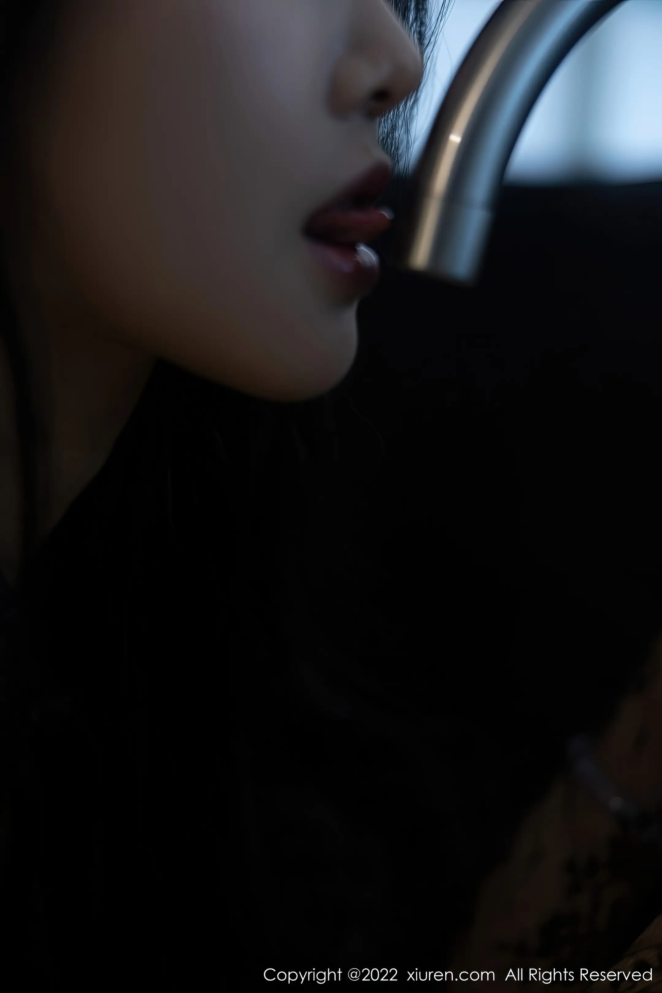 [秀人网] 2022.11.16 NO.5864 苏苏阿#[80P]-3