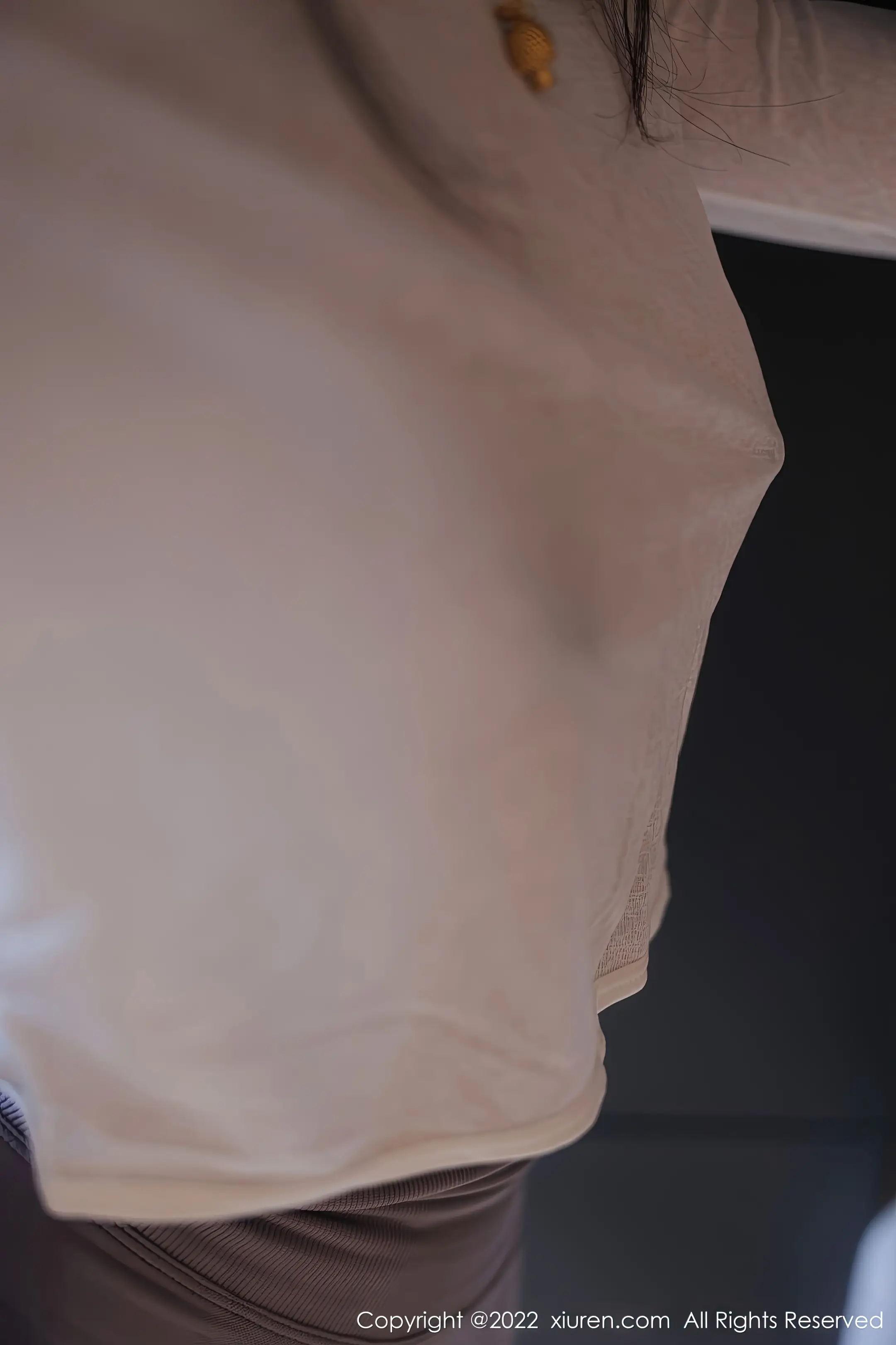 [秀人网] 2022.11.03 NO.5799 苏苏阿#[93P]-3