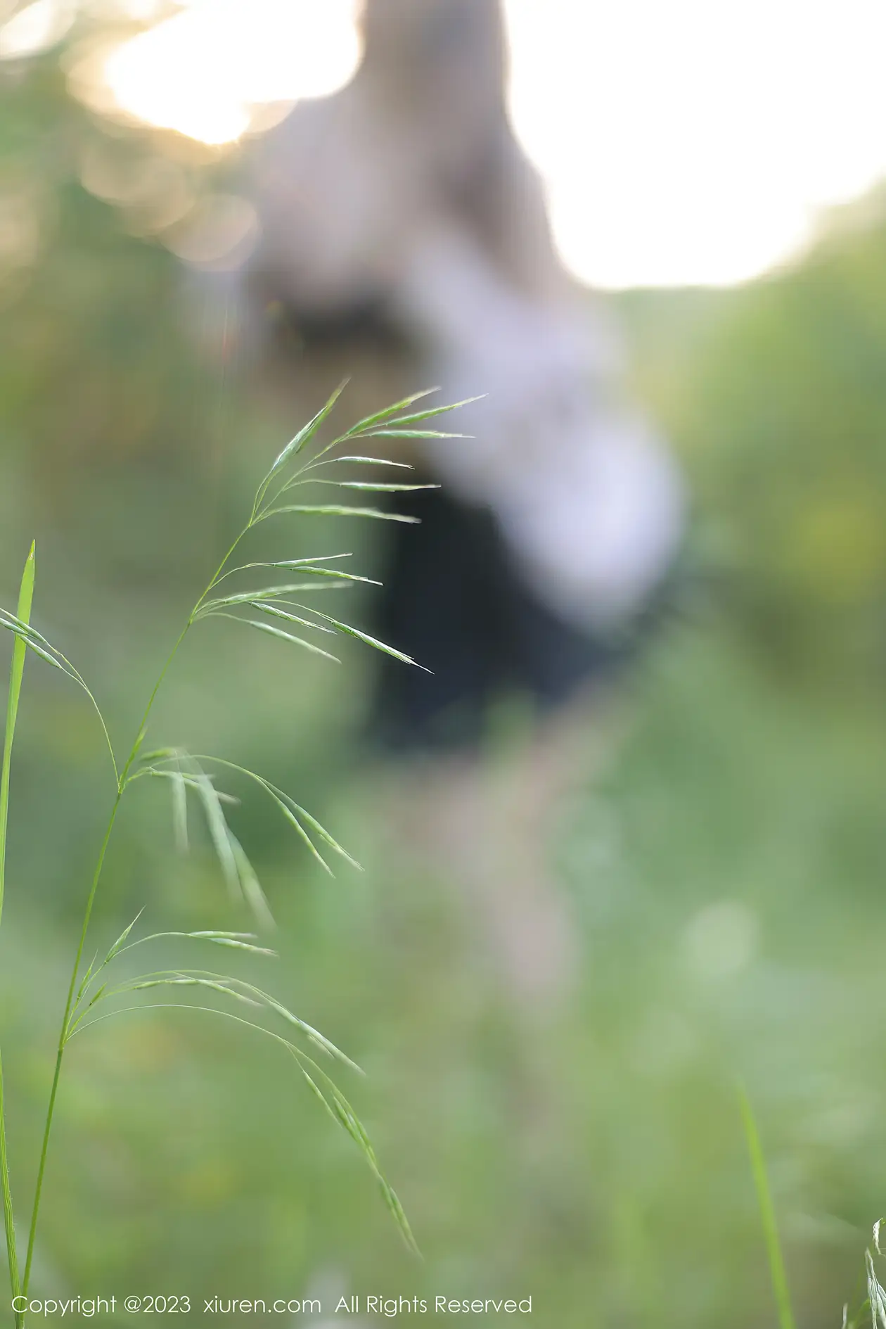 [秀人网] 2023.05.11 NO.6721 江真真#[81P]-2