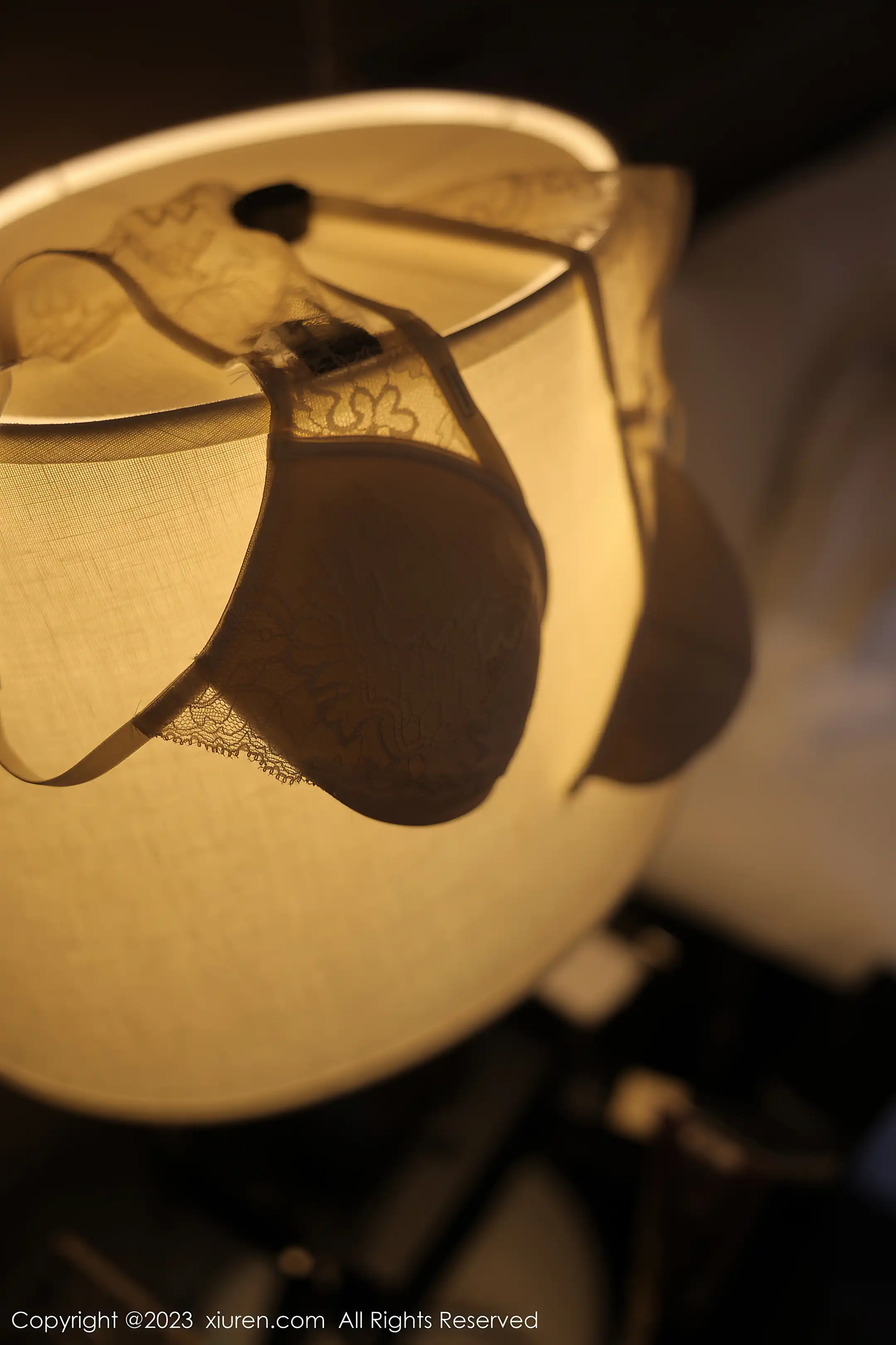 [秀人网] 2023.02.20 NO.6290 yoo优优#[85P]-6