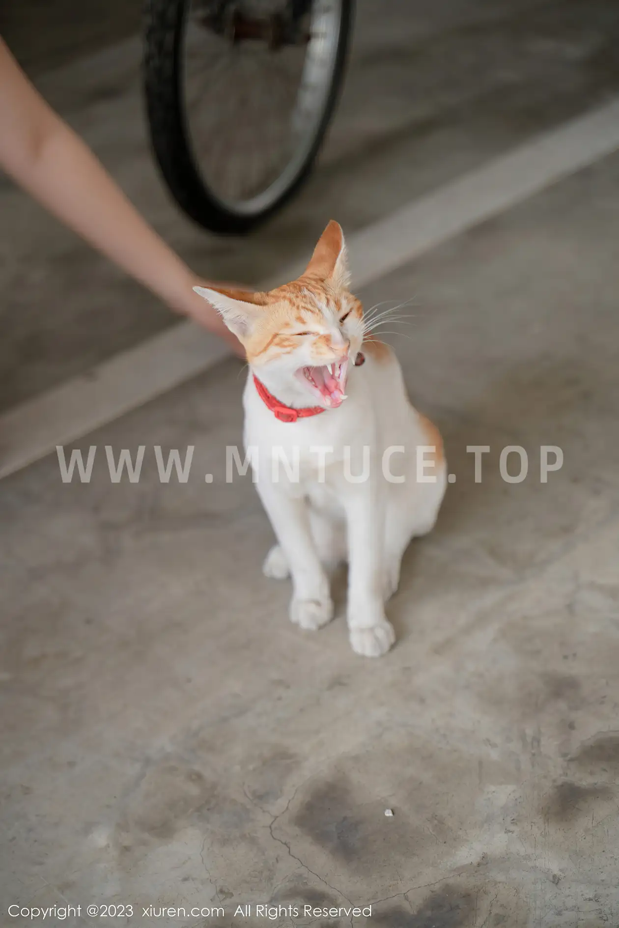 [秀人网] 2023.05.25 NO.6798 艾希儿#[63P]-4