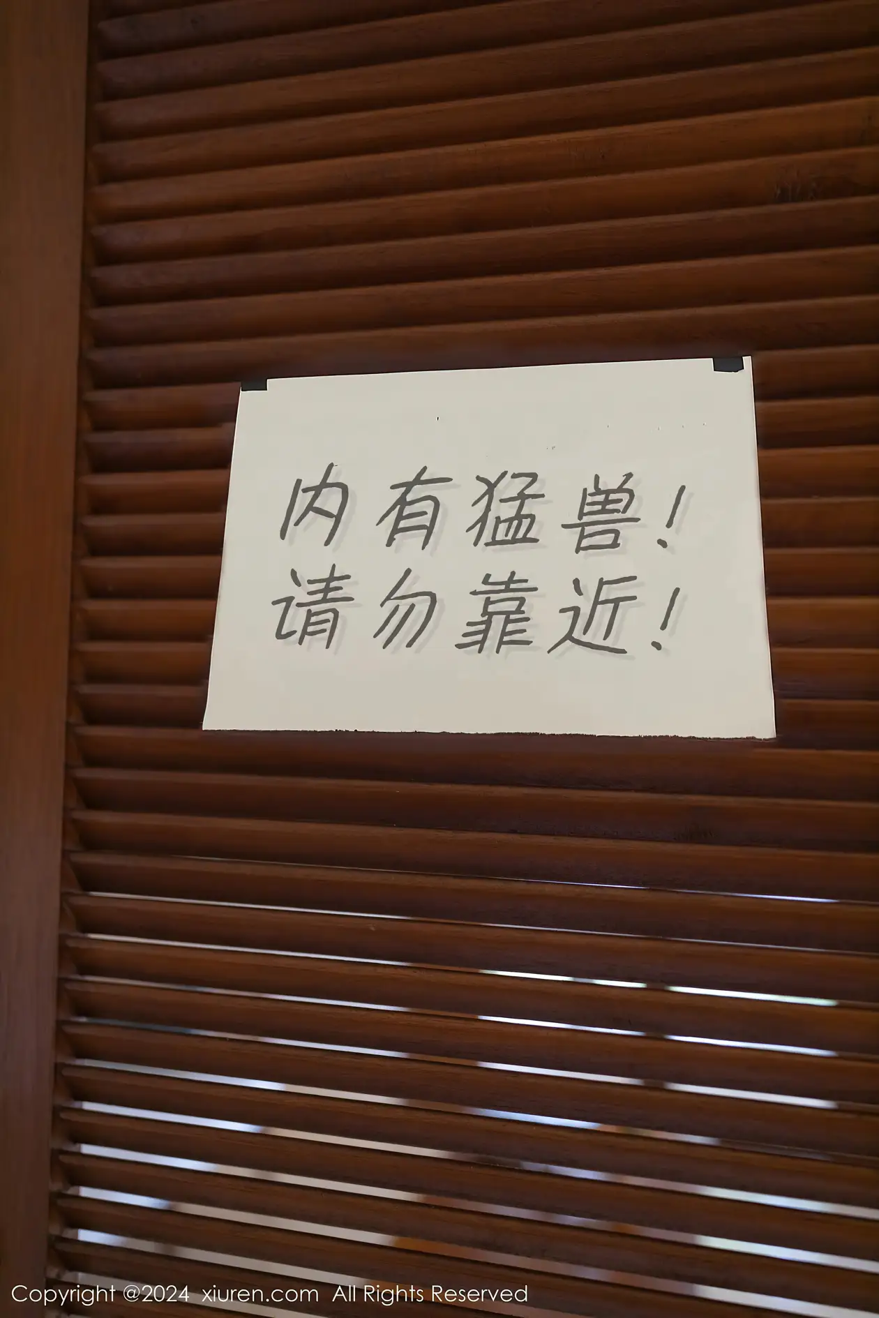 [秀人网] 2024.01.26 NO.8029 幼幼#[81P]-2