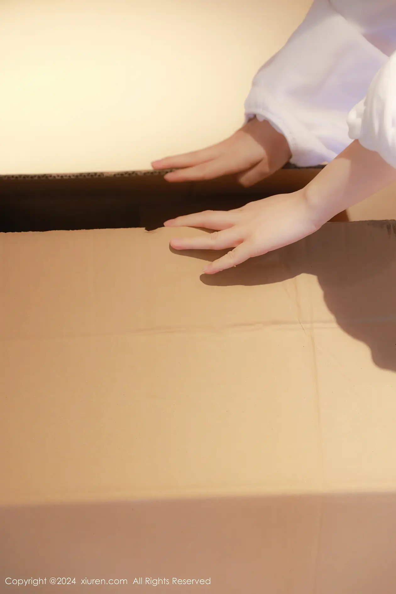 [秀人网] 2024.01.31 NO.8044 小薯条nienie#[75P]-7