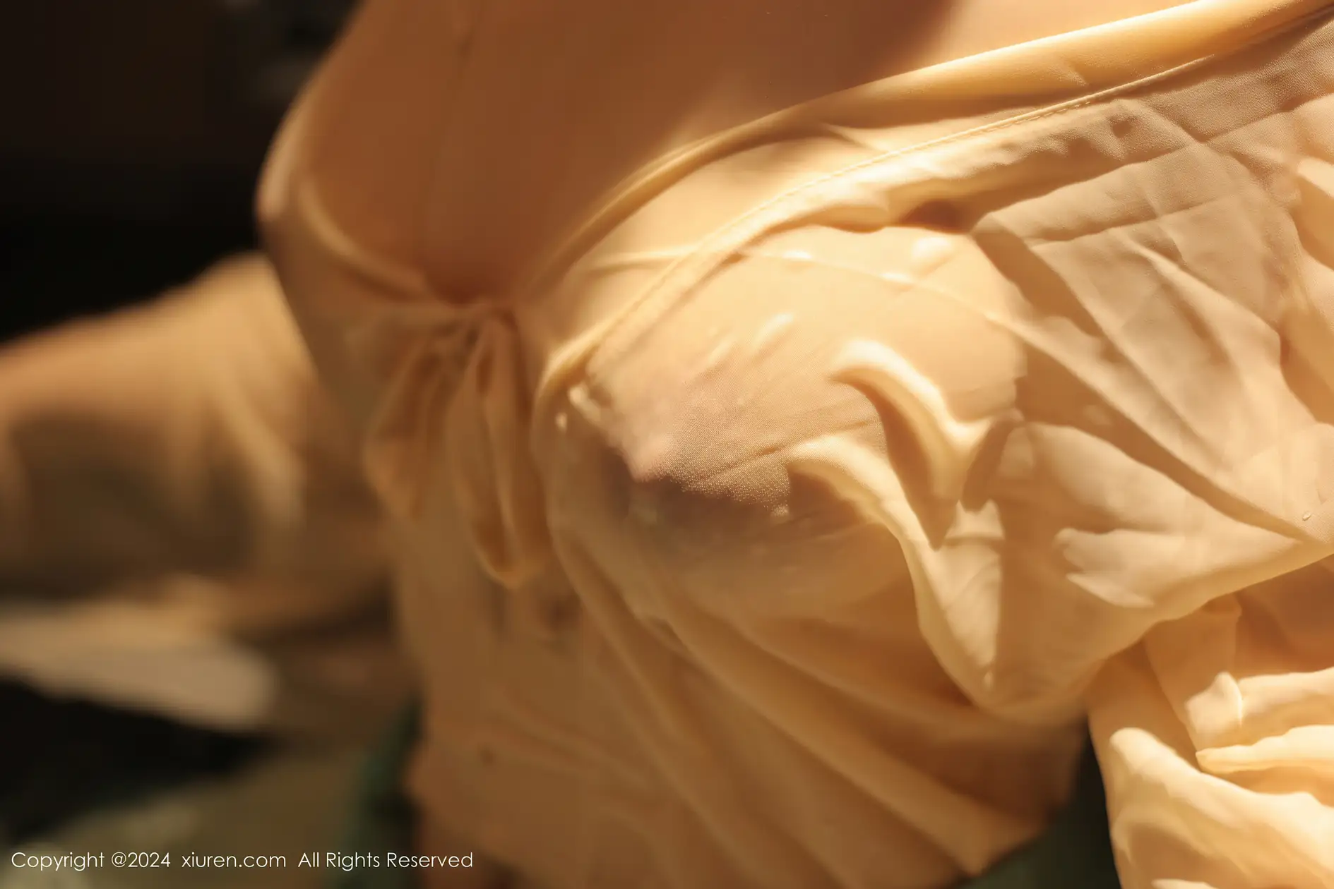 [秀人网] 2024.02.22 NO.8128 诗诗kiki#[83P]-5