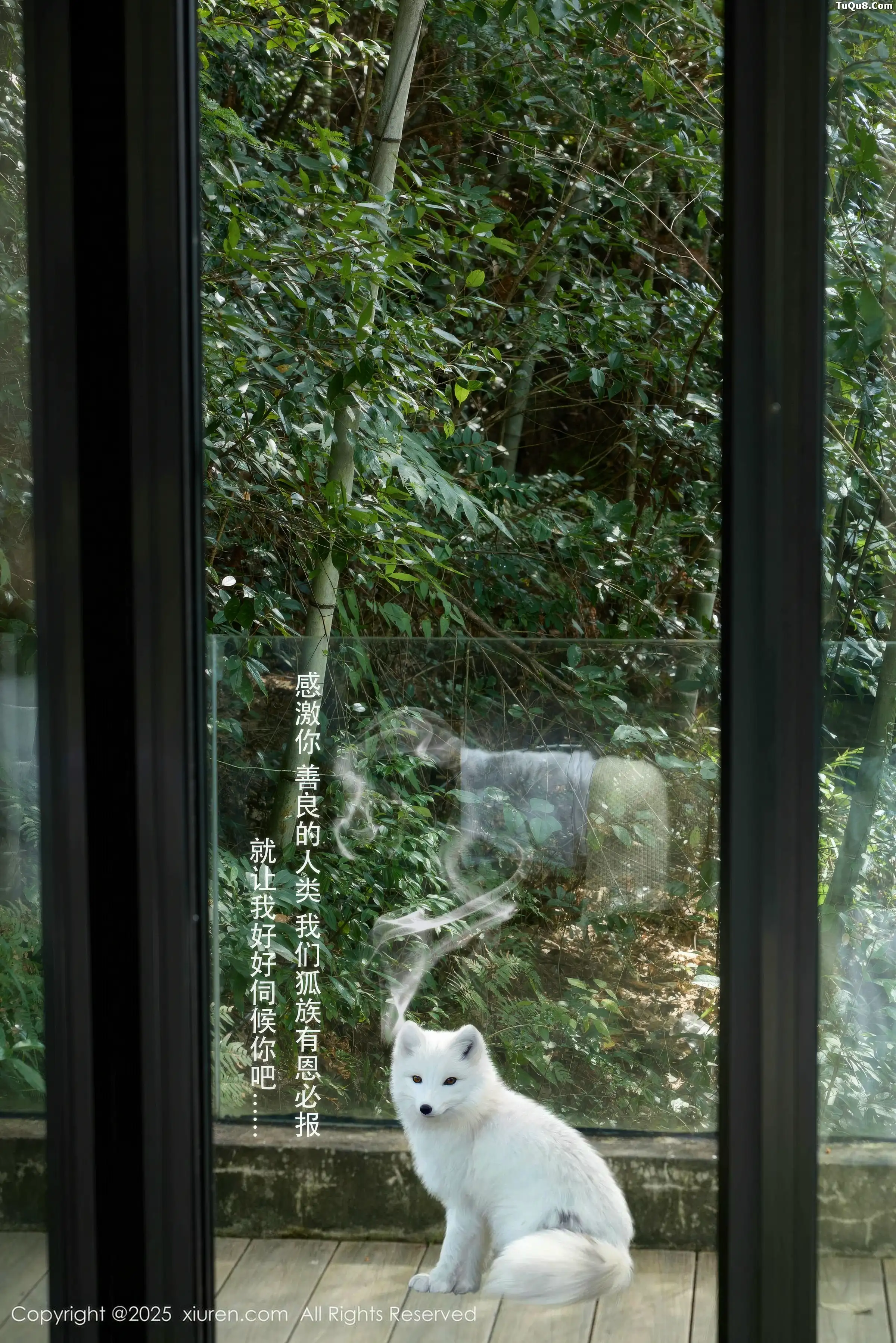 [秀人网] 2025.12.04 No.11068 尹甜甜#[55P]-1