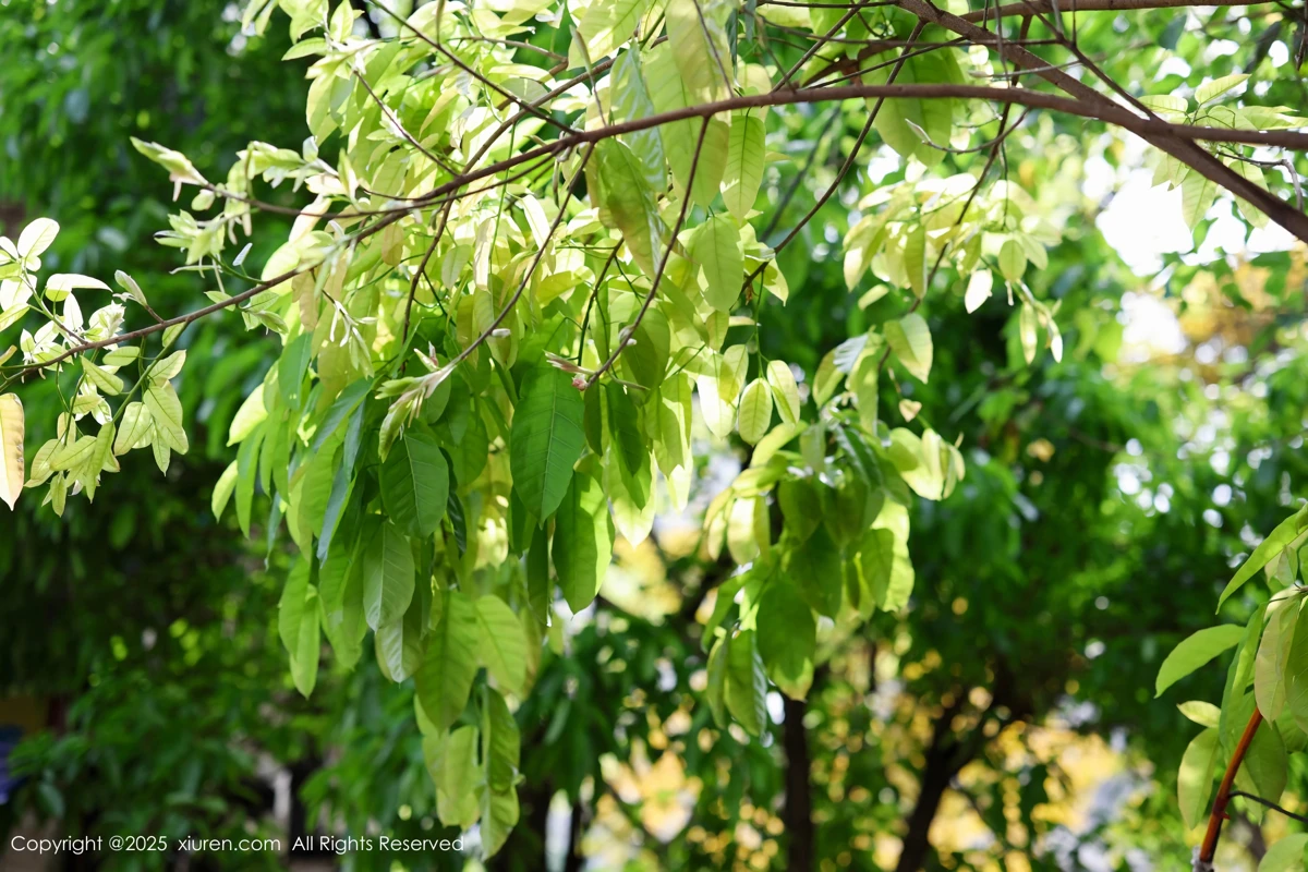 [秀人网] 2025.05.08 No.10247 茂木希子#[81P]-3