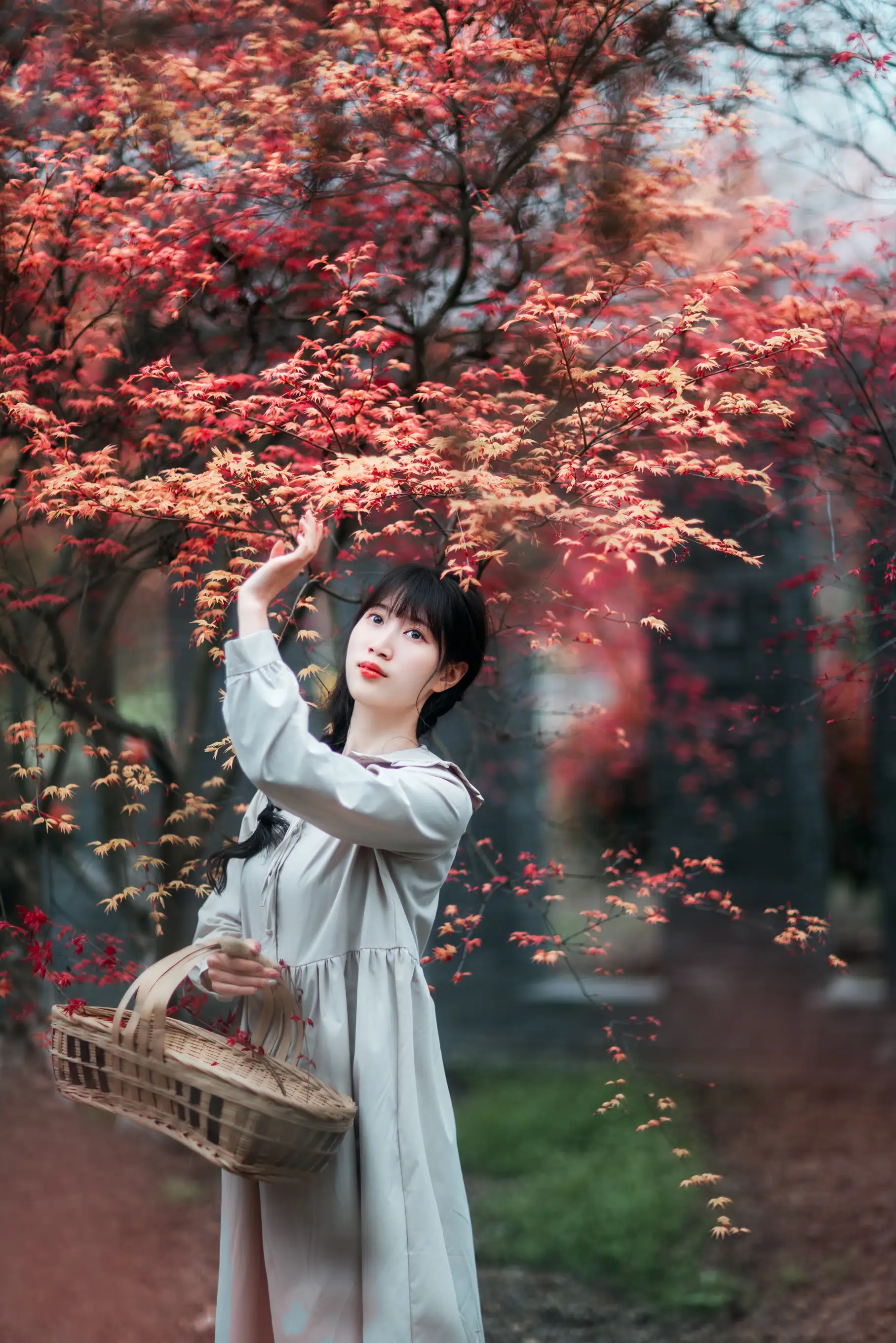 [艺图语] 2021.12.23 Vol.521 – 枫林春晓 初茶#[39P]-1