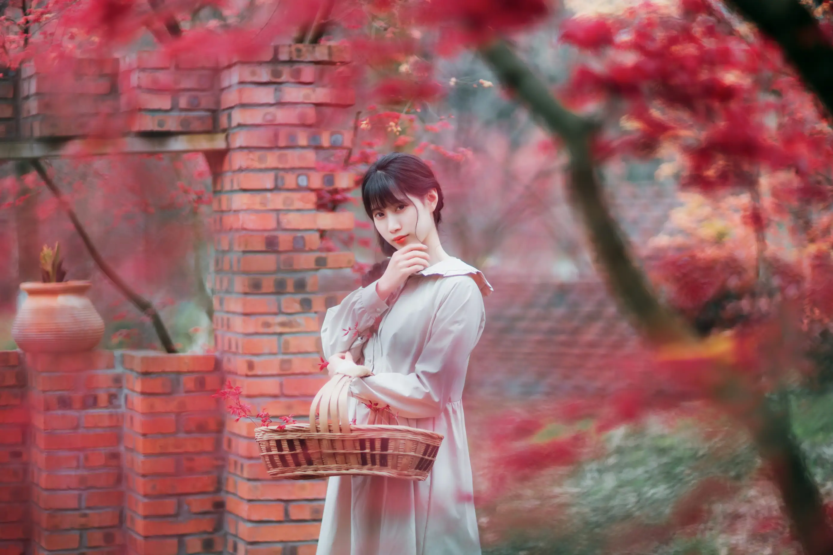 [艺图语] 2021.12.23 Vol.521 – 枫林春晓 初茶#[39P]-5