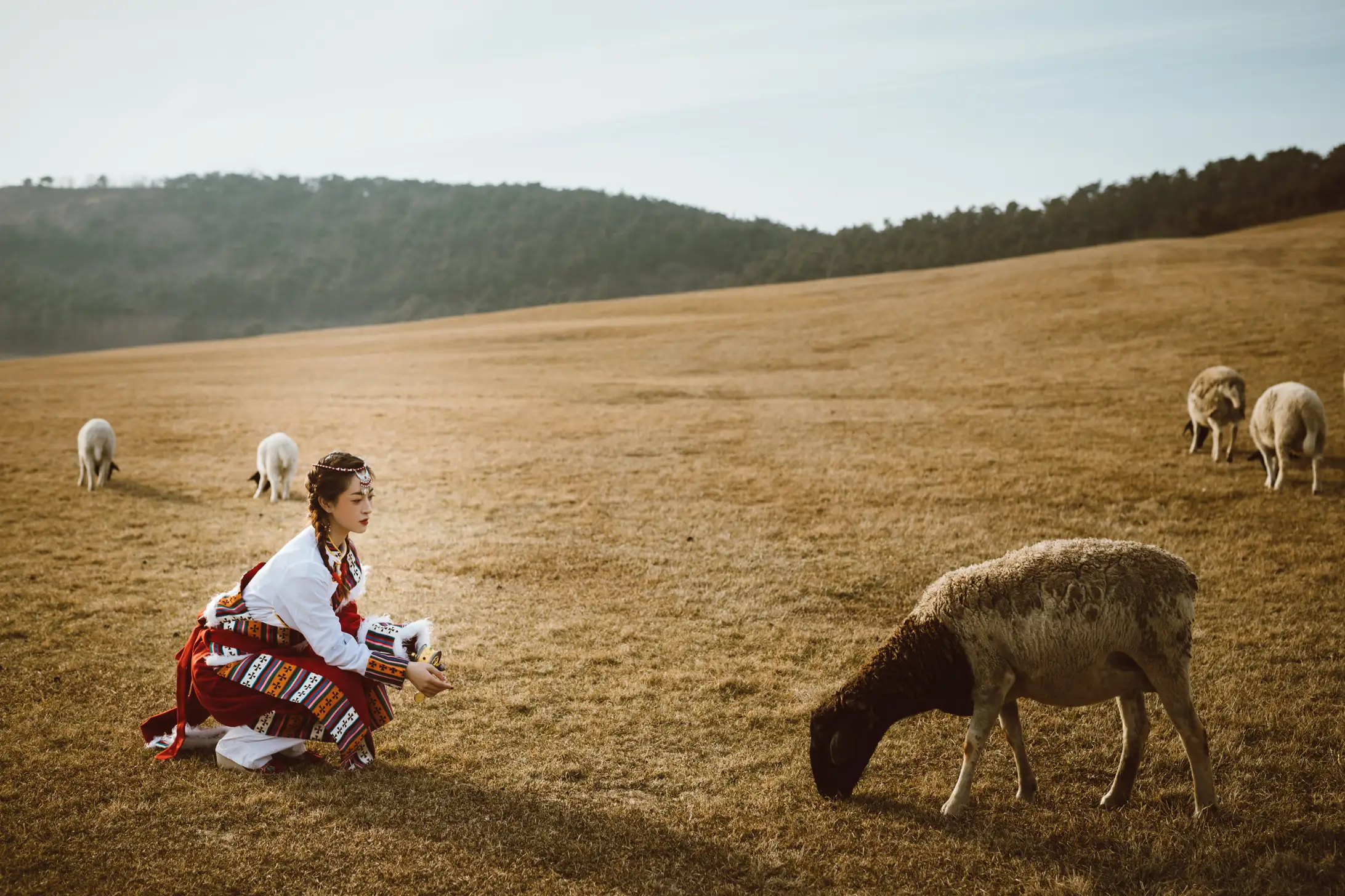 [艺图语] 2022.07.04 Vol.1376 – 牧场藏服少女 壹萱-#[22P]-8