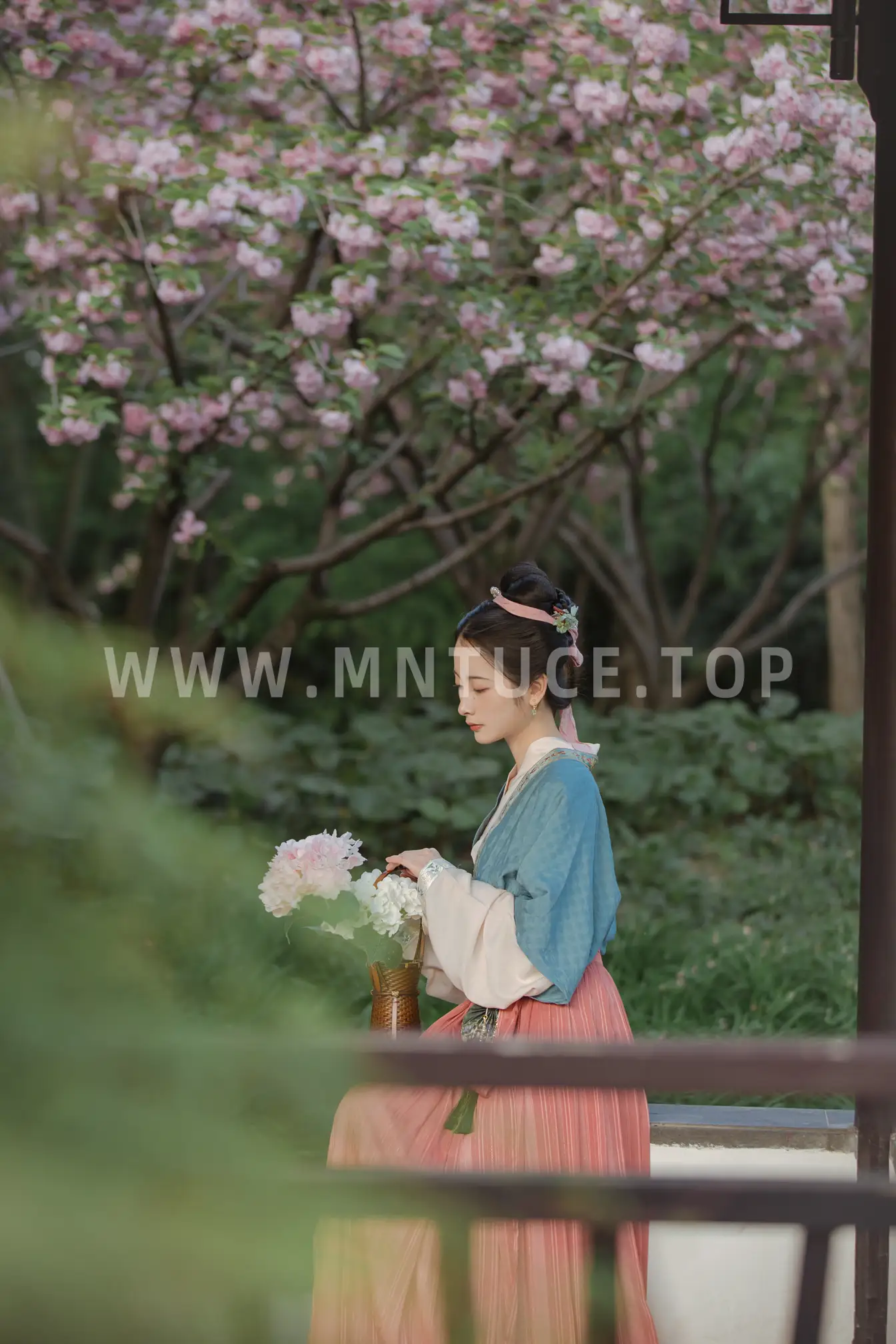 [艺图语] 2022.06.29 Vol.1327 – 拾尽千苍色，携来两袖风 五月的三花猫#[27P]-9