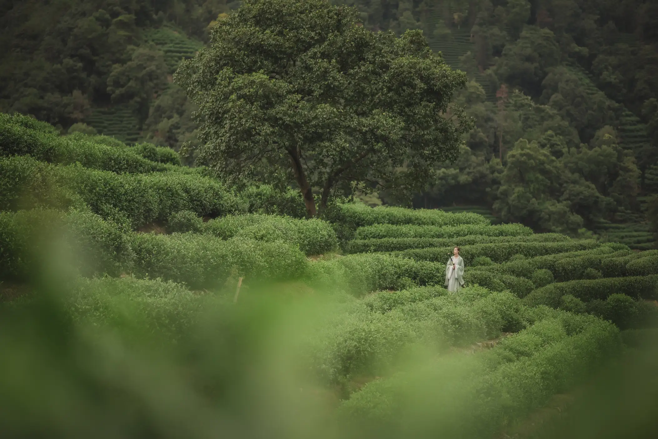 [艺图语] 2022.01.15 Vol.660 – 未归 曹老板#[19P]-9