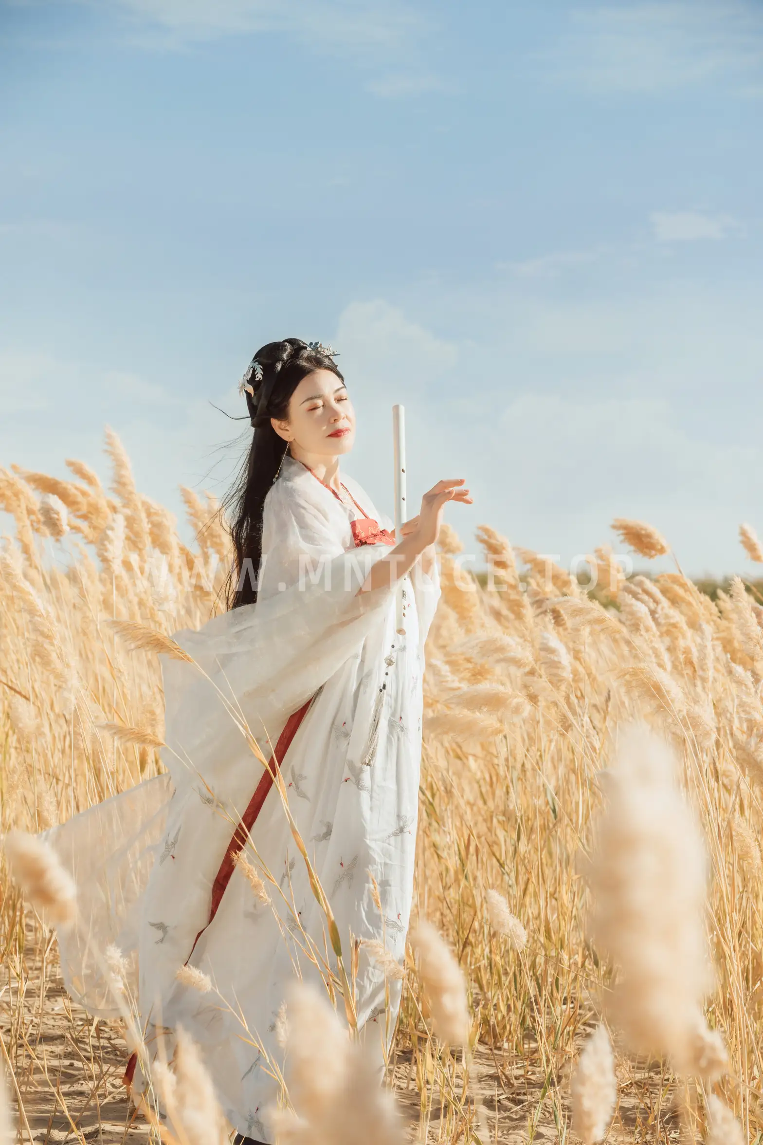 [艺图语] 2021.08.31 Vol.197 – 吹梦到西洲 薄菏#[30P]-8